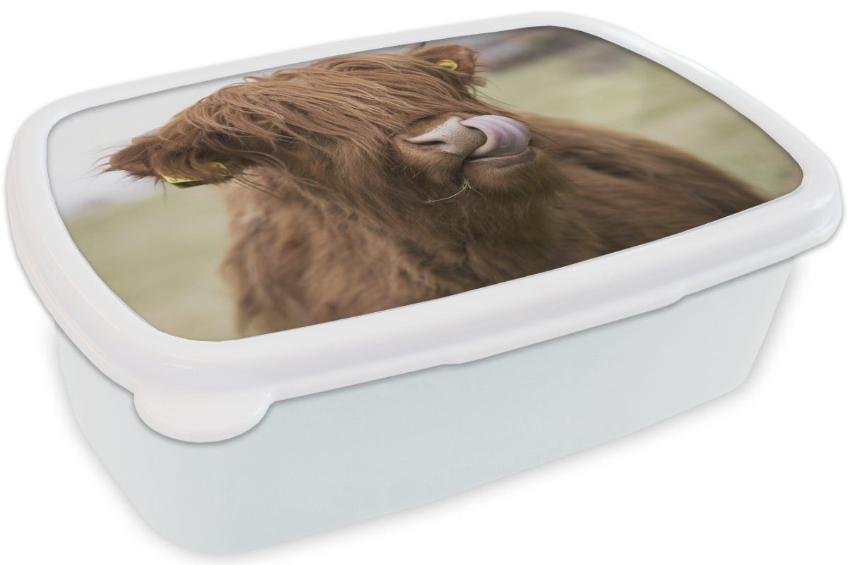 Erwachsene, MuchoWow Kunststoff, Brotbox Brotdose, für weiß - Lunchbox (2-tlg), Braun Kuh, Jungs - Mädchen Kinder und Schottischer und für Highlander