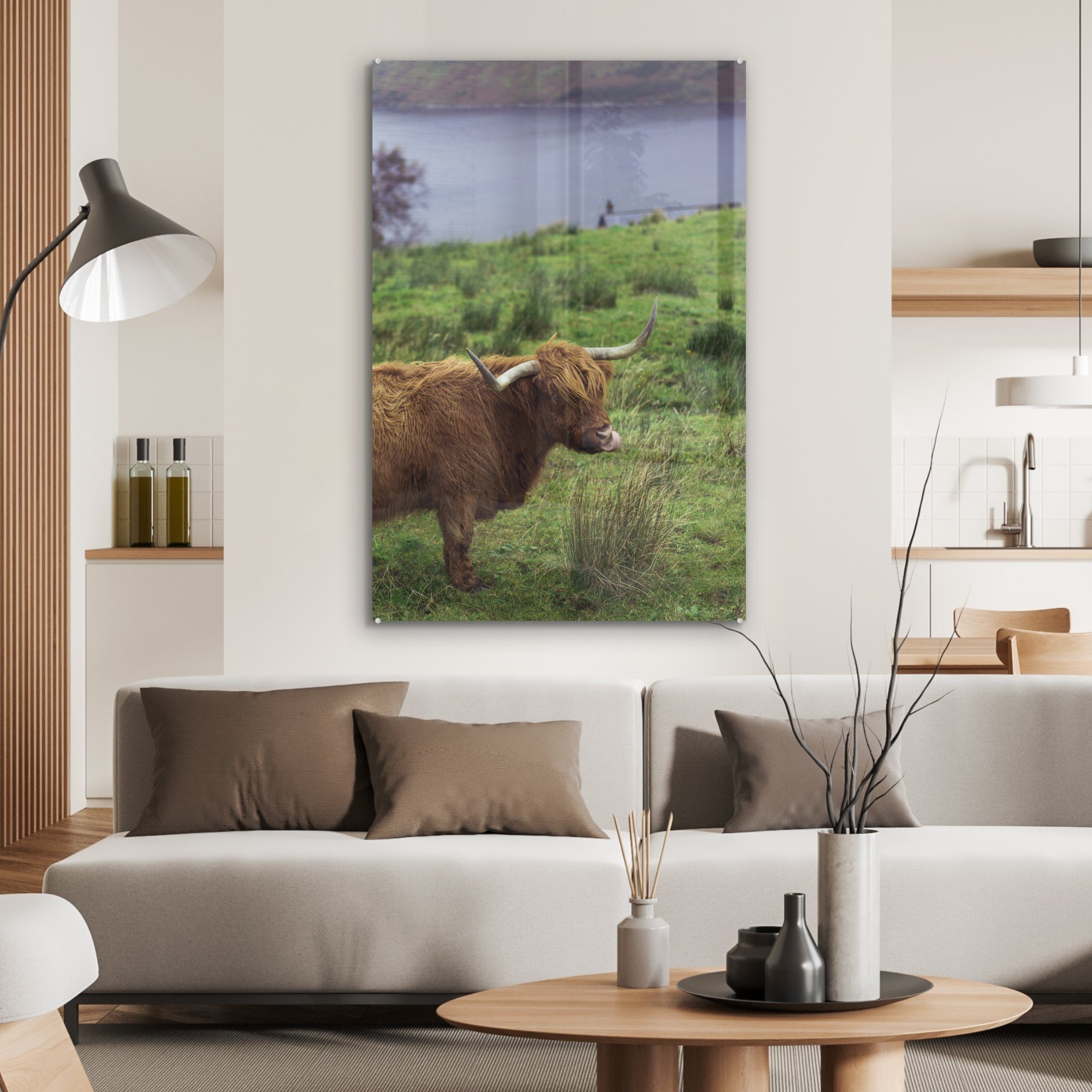 Gemälde - - (1 Highlander Tiere, Acrylglasbild Schottische MuchoWow wohnzimmer Wasser St), auf Glas, Gras - Dekoration