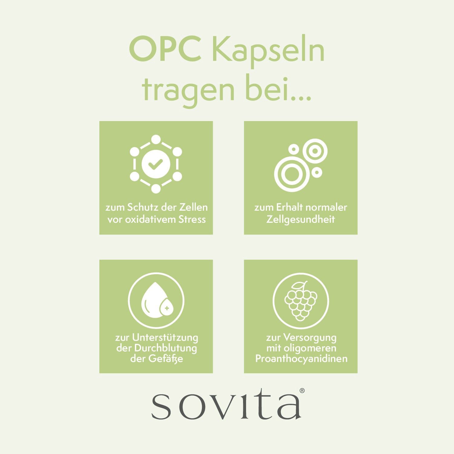 Ascopharm sovita OPC Kapseln Kapsel