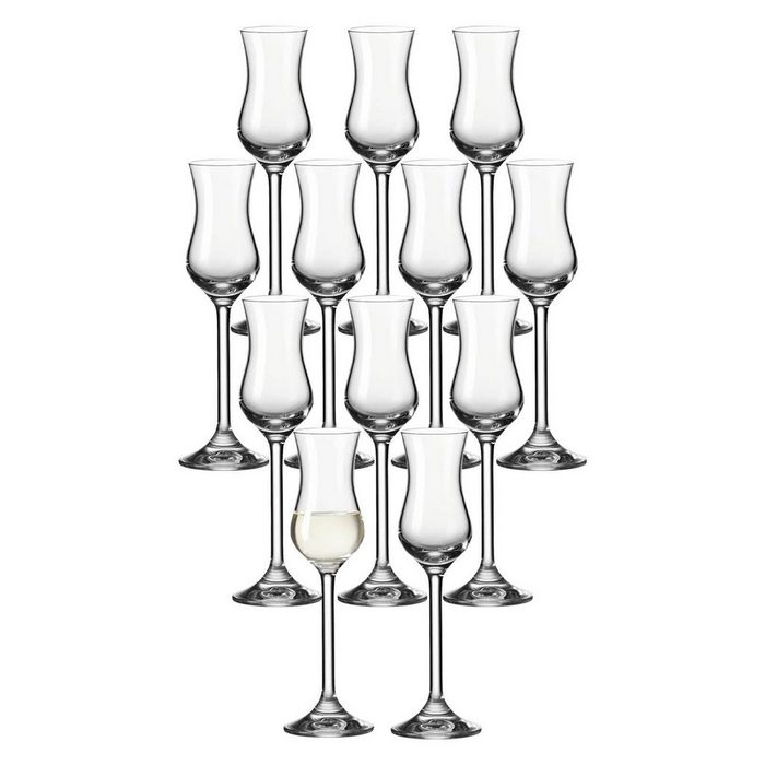LEONARDO Schnapsglas DAILY Grappaglas 100 ml 12er Set Glas