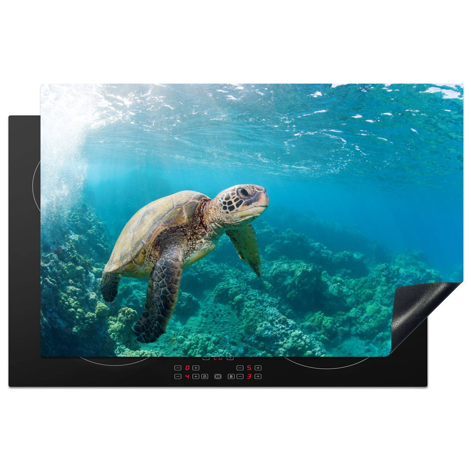 MuchoWow Herdblende-/Abdeckplatte Eine Schildkröte über dem Korallenriff in Hawaii, Vinyl, (1 tlg), 81x52 cm, Induktionskochfeld Schutz für die küche, Ceranfeldabdeckung
