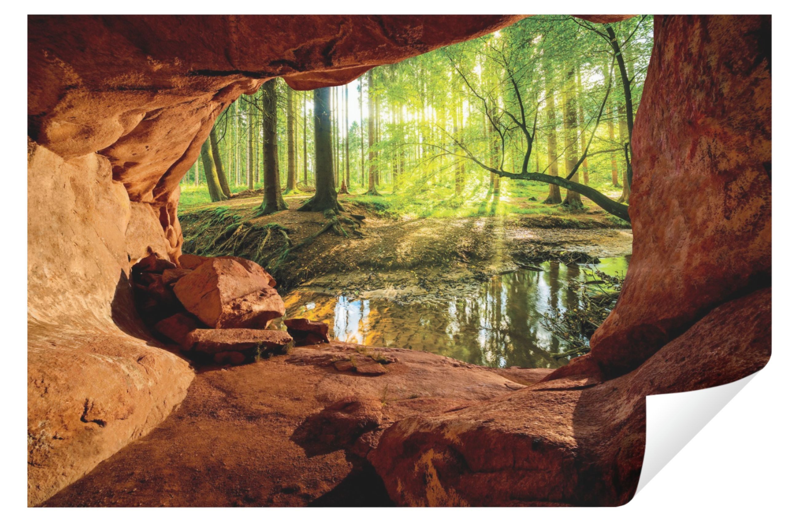 Wallarena Fototapete 3D EFFEKT Wald Höhle günstig online kaufen