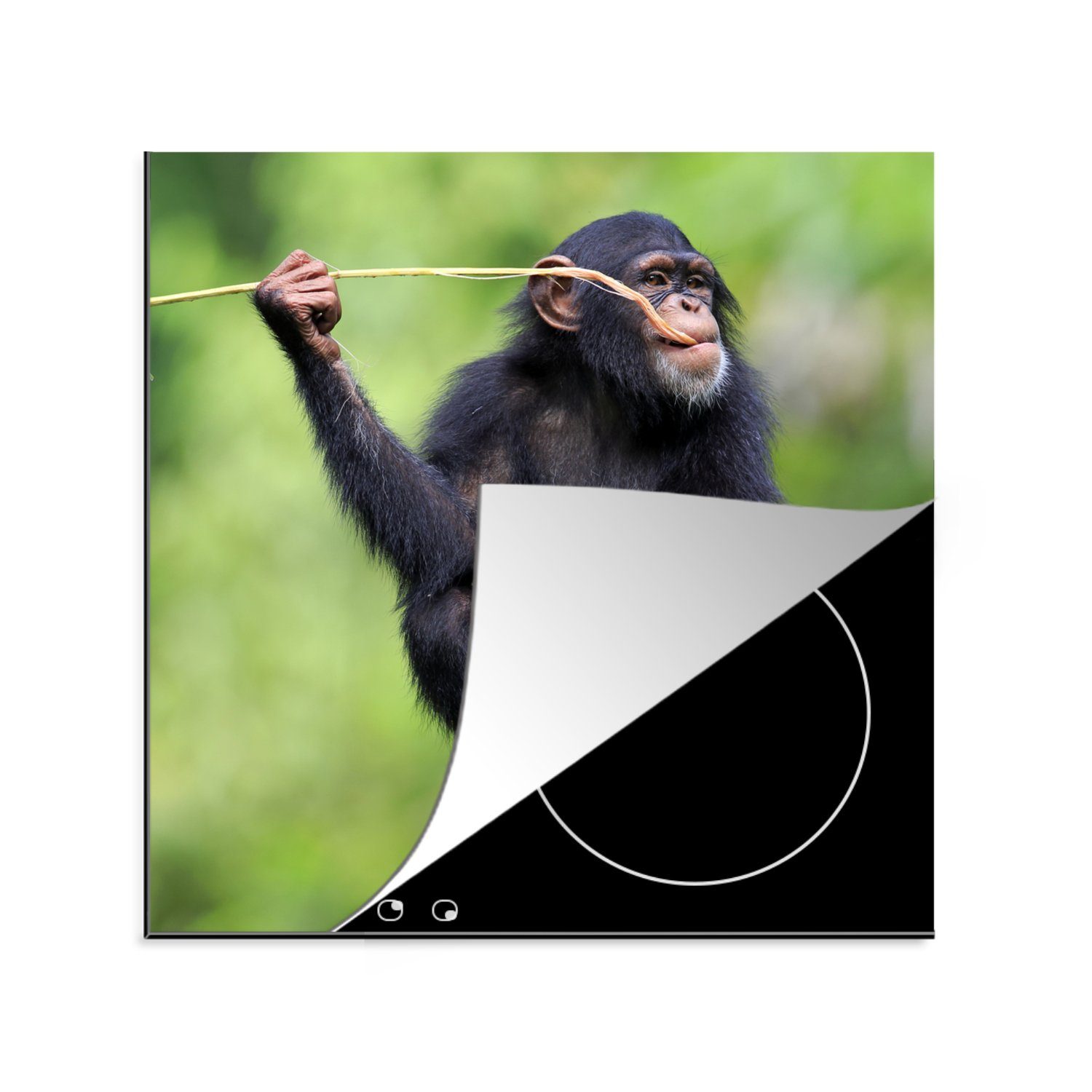 MuchoWow Herdblende-/Abdeckplatte Schimpanse - (1 78x78 Arbeitsplatte Affe tlg), Vinyl, küche - für Essen, cm, Ceranfeldabdeckung