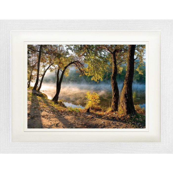 1art1 Bild mit Rahmen Wälder - Bäume Am Fluss-Ufer Im Morgentau