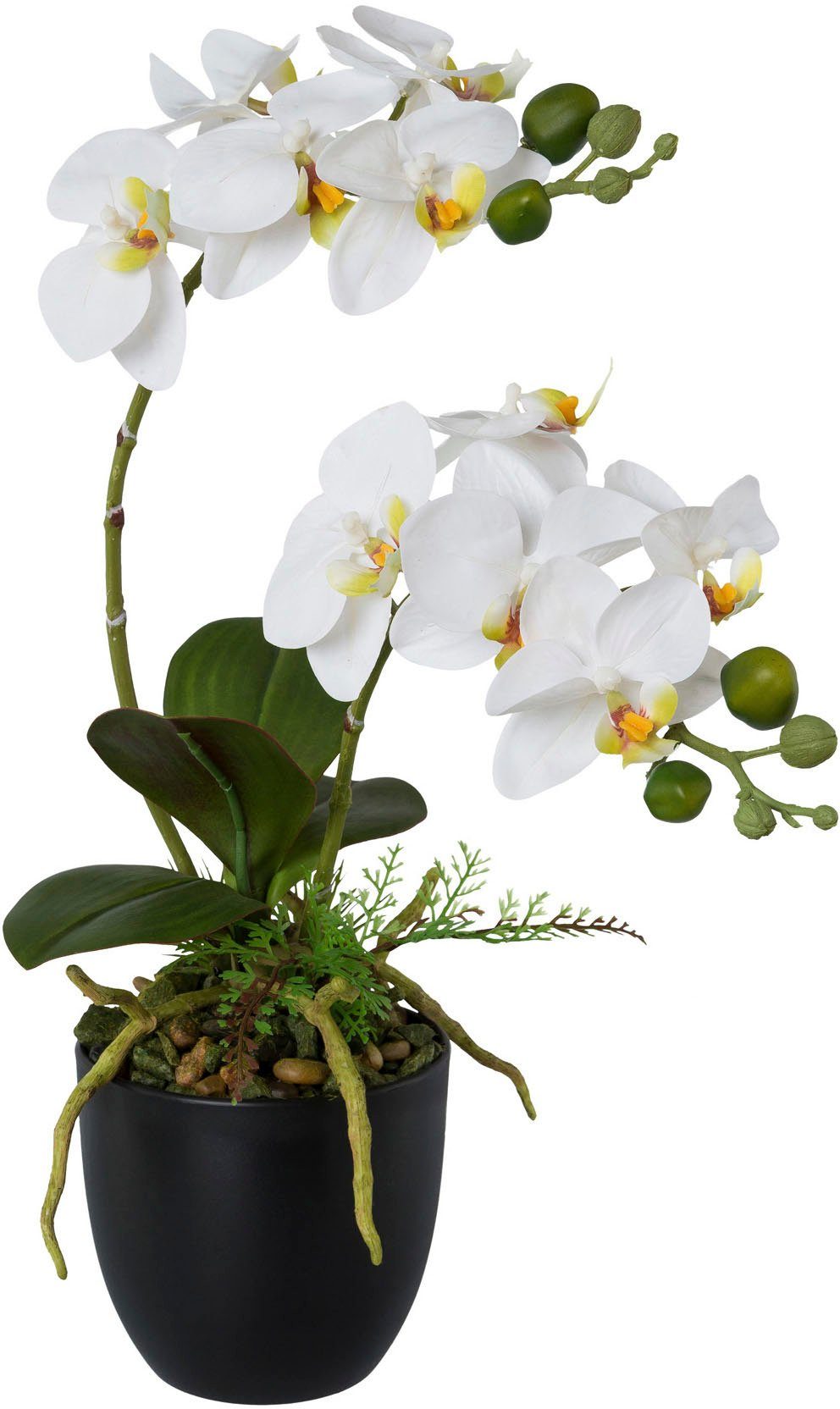 Phalaenopsis, Creativ Kunstorchidee Kunststofftopf Höhe cm, green, 42 im