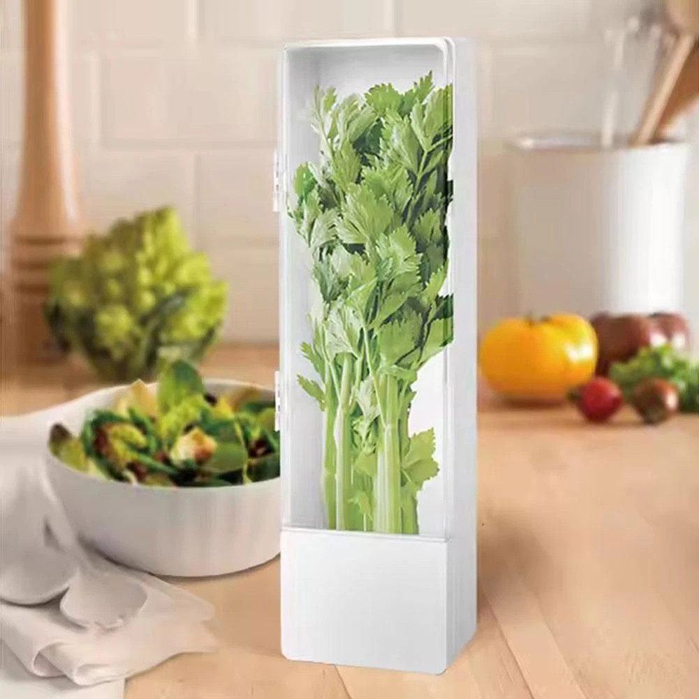 BlingBin Frischhaltedose Kräuterbehälter für Kühlschrank, Kräuter Aufbewahrungsbehälter, Kunststoff, (1er Ser, 1-tlg., 27 × 8,7 × 7,5 cm), Langfristige Frischekonservierung, Kräuteraufbewahrung für Koriander von BlingBin