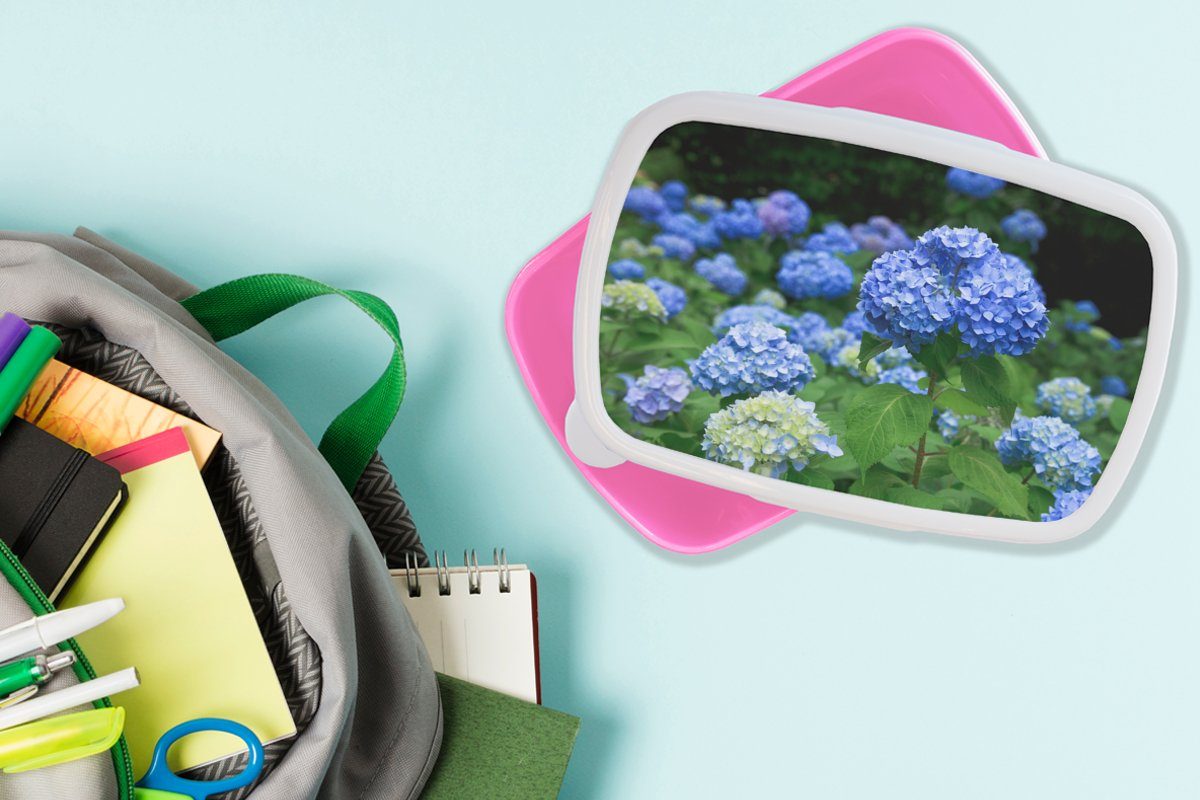 MuchoWow Lunchbox Blaue Hortensienblüten, Kunststoff, Erwachsene, Snackbox, Mädchen, Brotbox rosa Kinder, Brotdose Kunststoff für (2-tlg)