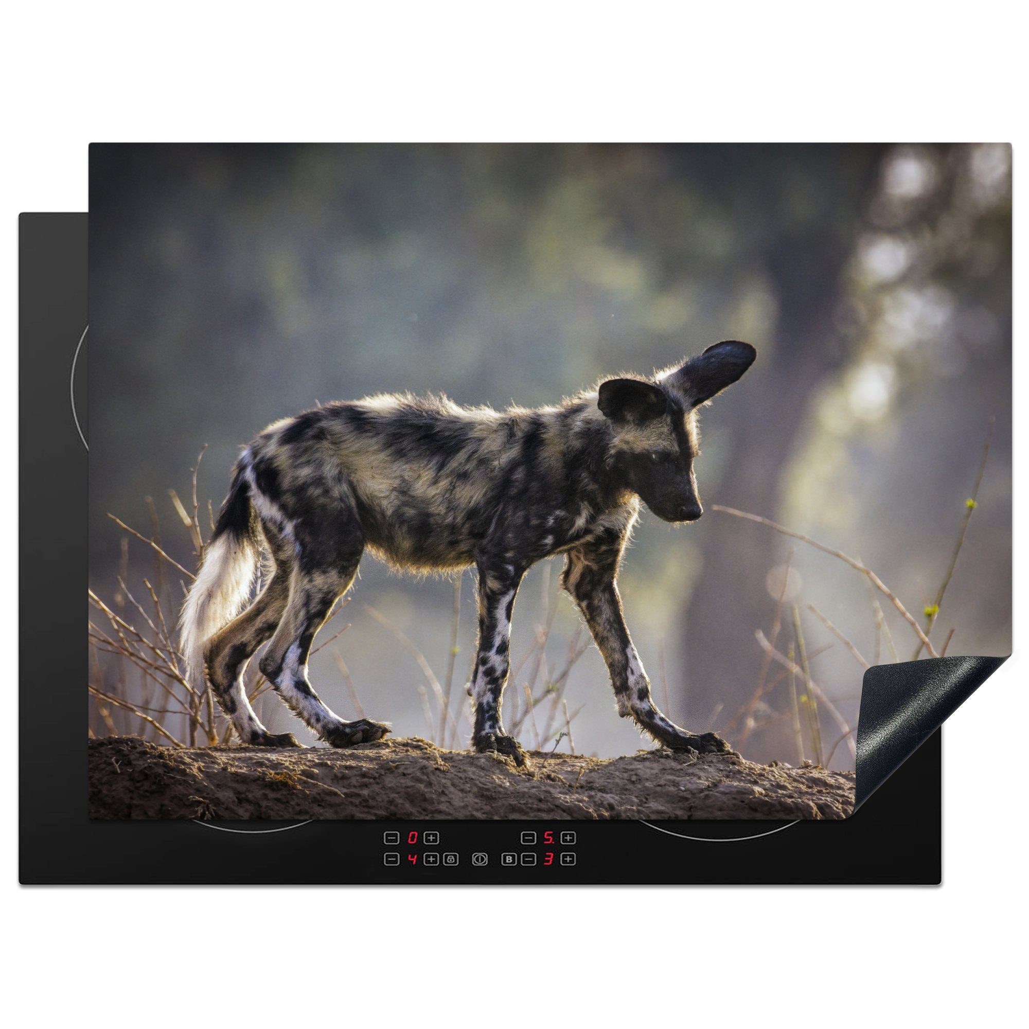MuchoWow Herdblende-/Abdeckplatte Junger afrikanischer Wildhund auf einem Sandhügel, Vinyl, (1 tlg), 70x52 cm, Mobile Arbeitsfläche nutzbar, Ceranfeldabdeckung