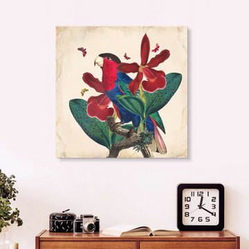 Posterlounge Acrylglasbild Mandy Reinmuth, Exotische Papageien VII, Wohnzimmer Orientalisches Flair Grafikdesign