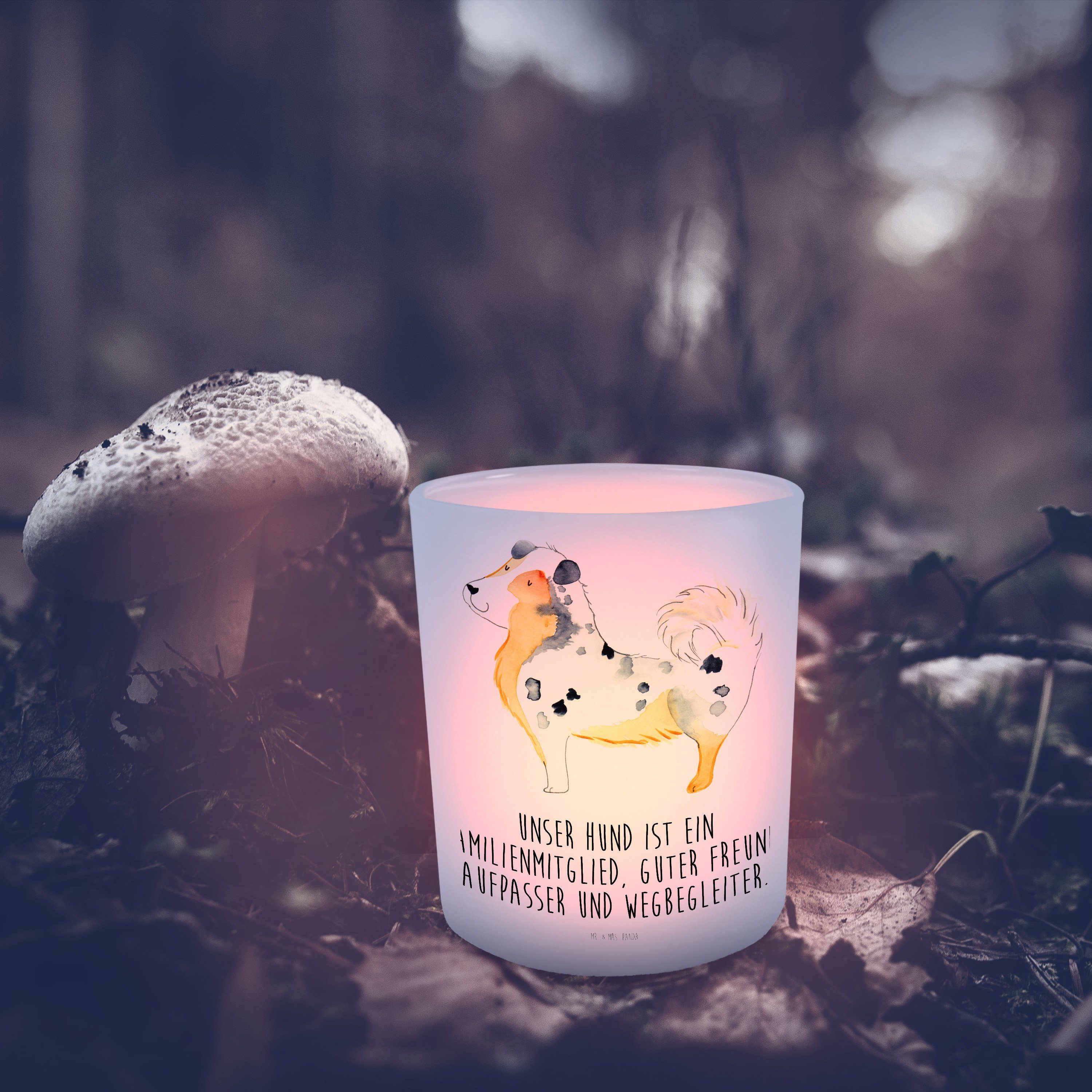Mr. & Mrs. Panda Windlicht - St) Tierlie Shepherd Teelichthalter, Transparent Australien Geschenk, - (1