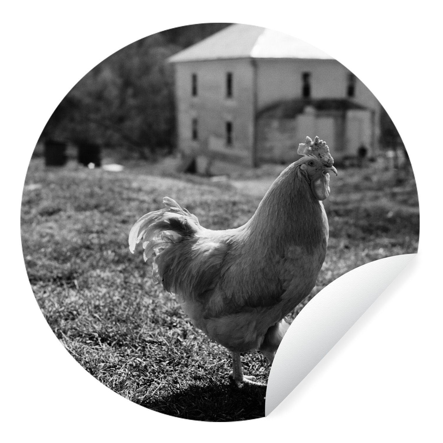 MuchoWow Wandsticker Huhn in Schwarz und Weiß, das durch das Gras läuft (1 St), Tapetenkreis für Kinderzimmer, Tapetenaufkleber, Rund, Wohnzimmer