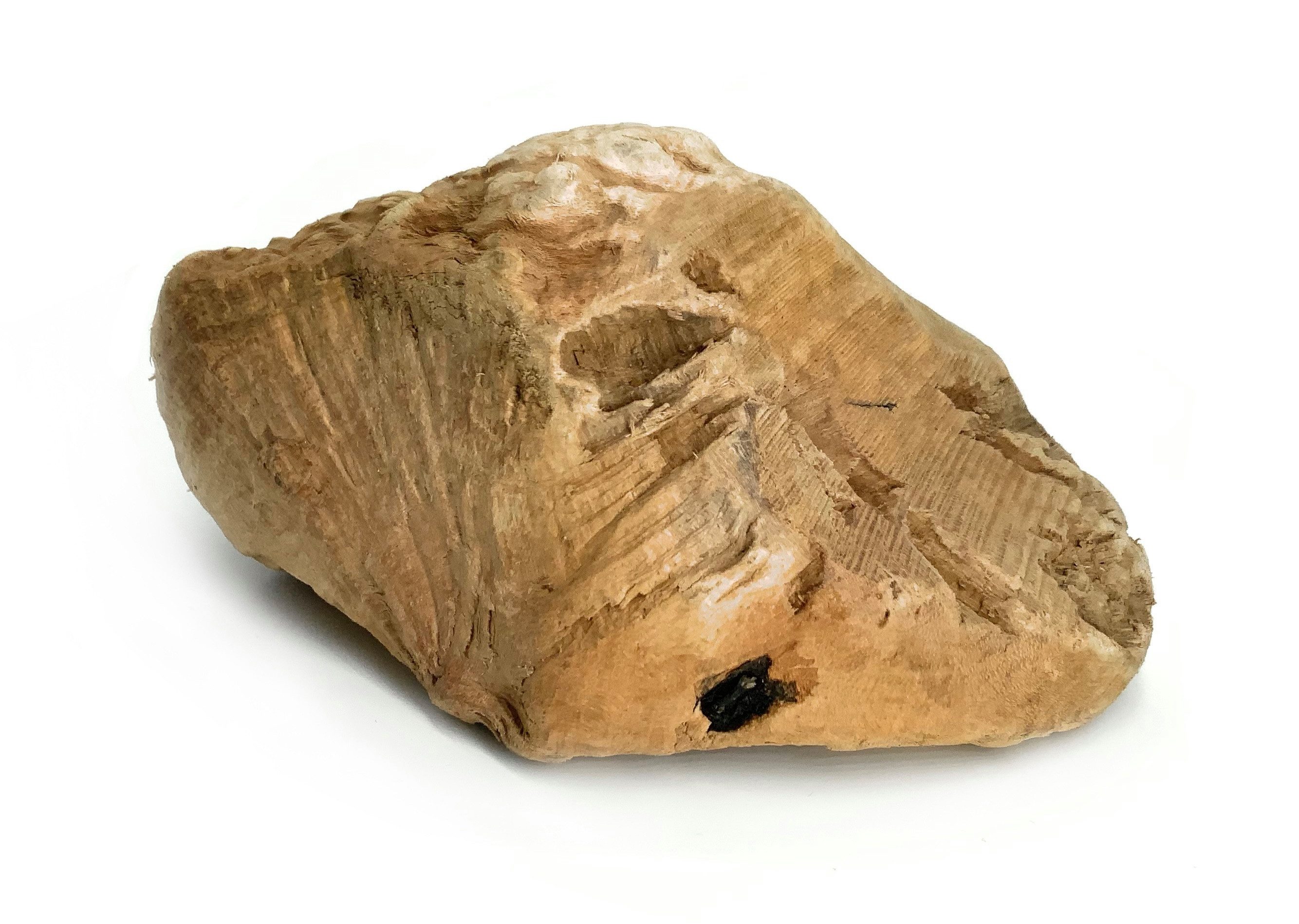 Kork-Deko.de Kauspielzeug Kauwurzel aus Baumheide – natürlicher, splitterfreier Kauknochen