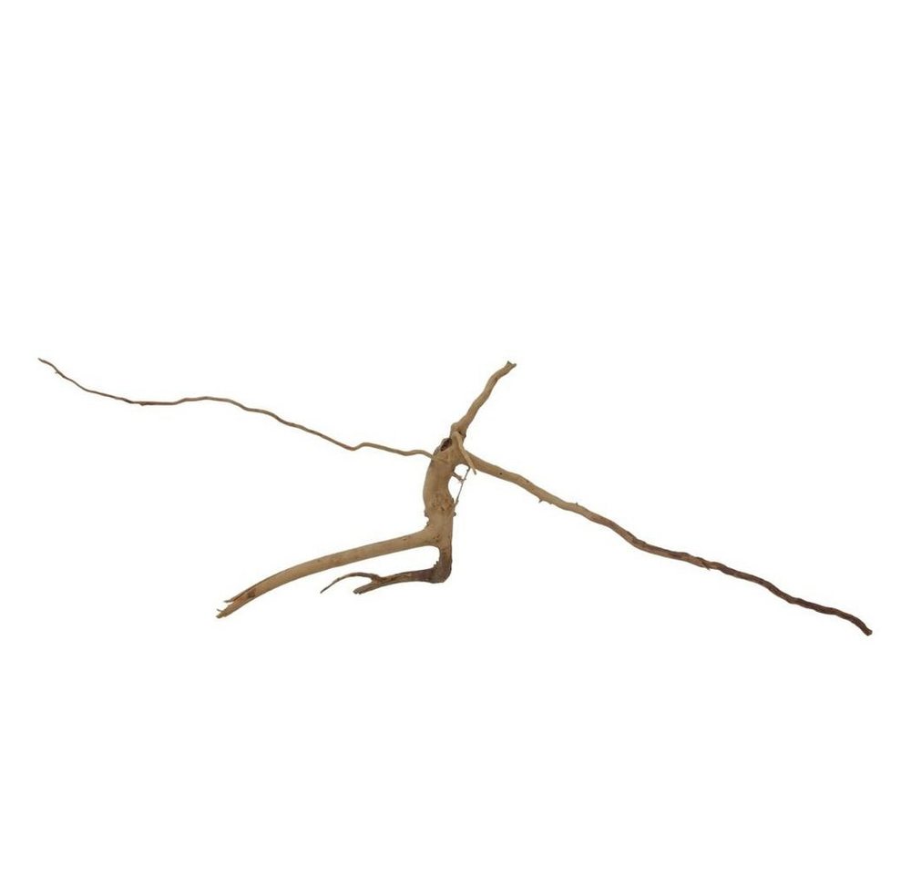 Thumbnail - Aquaone Aquarium M Moorkienwurzel Nr.7322 Holz Deko Aquascaping