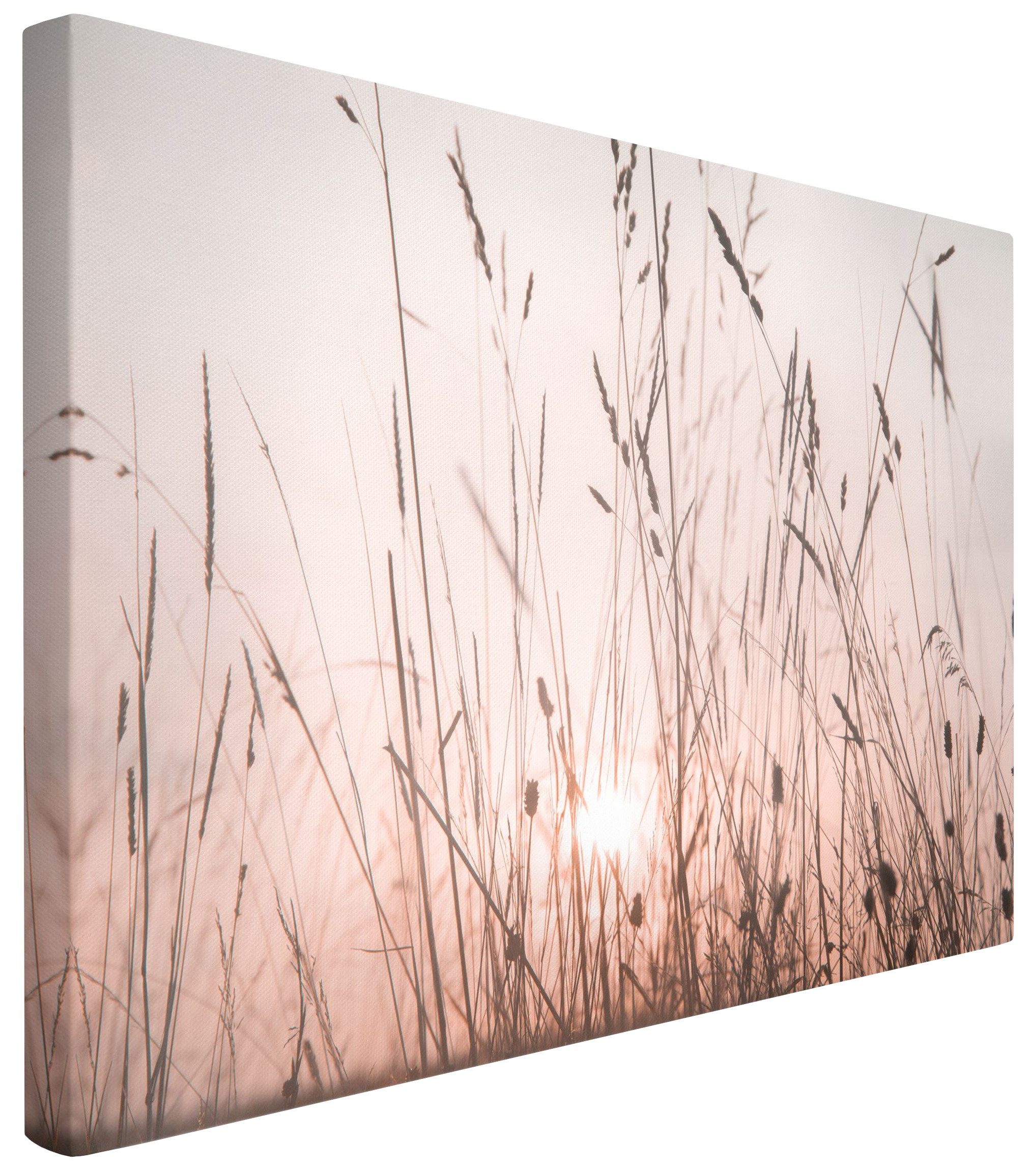 Bilderdepot24 Leinwandbild Kunstdruck Sommerabend creme beige günstig online kaufen