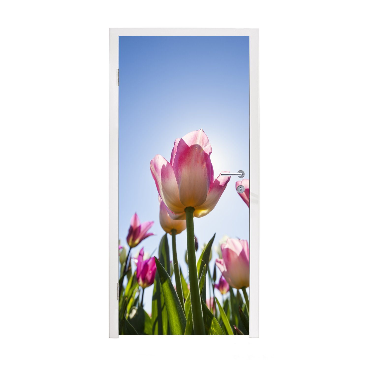 ab, Matt, für Tulpen (1 sich Fototapete 75x205 MuchoWow heben Tür, Türaufkleber, Himmel bedruckt, Türtapete St), vom blauen Rosa cm