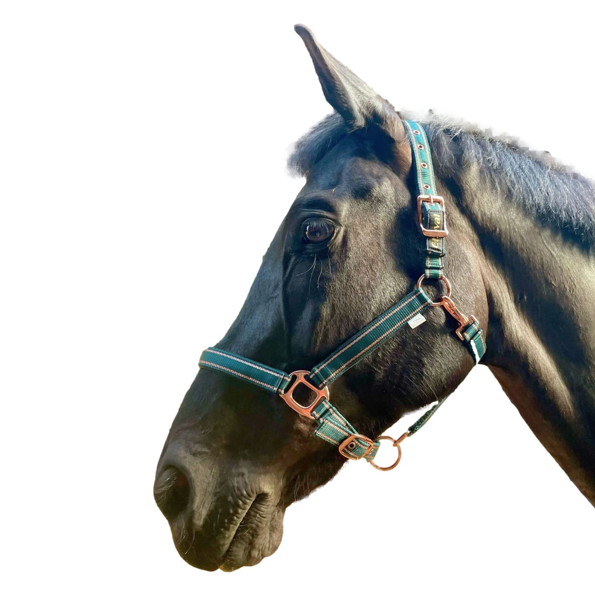 Halfter Halfter für Pferde Glitzer rosegold, Halfter Pferd, 2-fach verstellbar