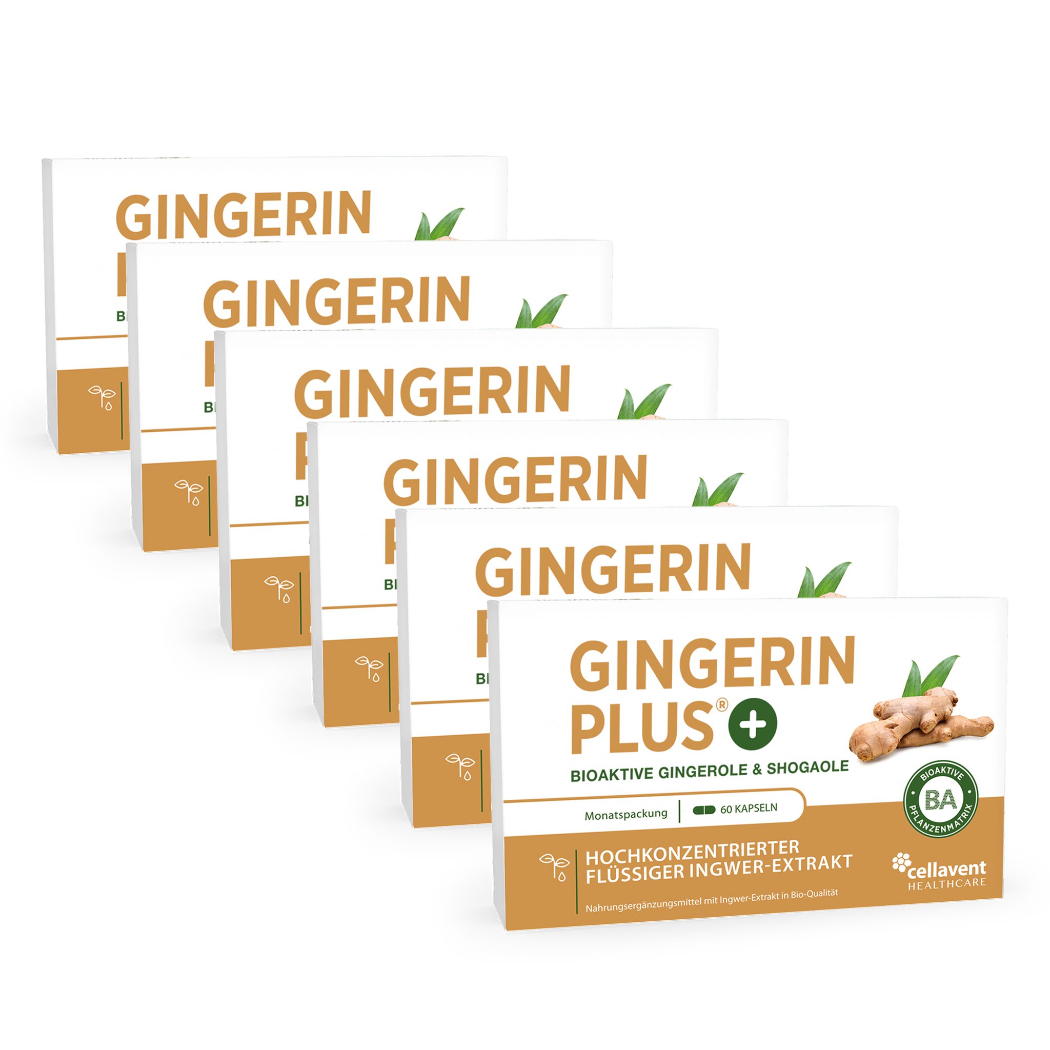 Cellavent Healthcare Bioaktiver Ingwer-Extrakt - Gingerin PLUS Kapseln