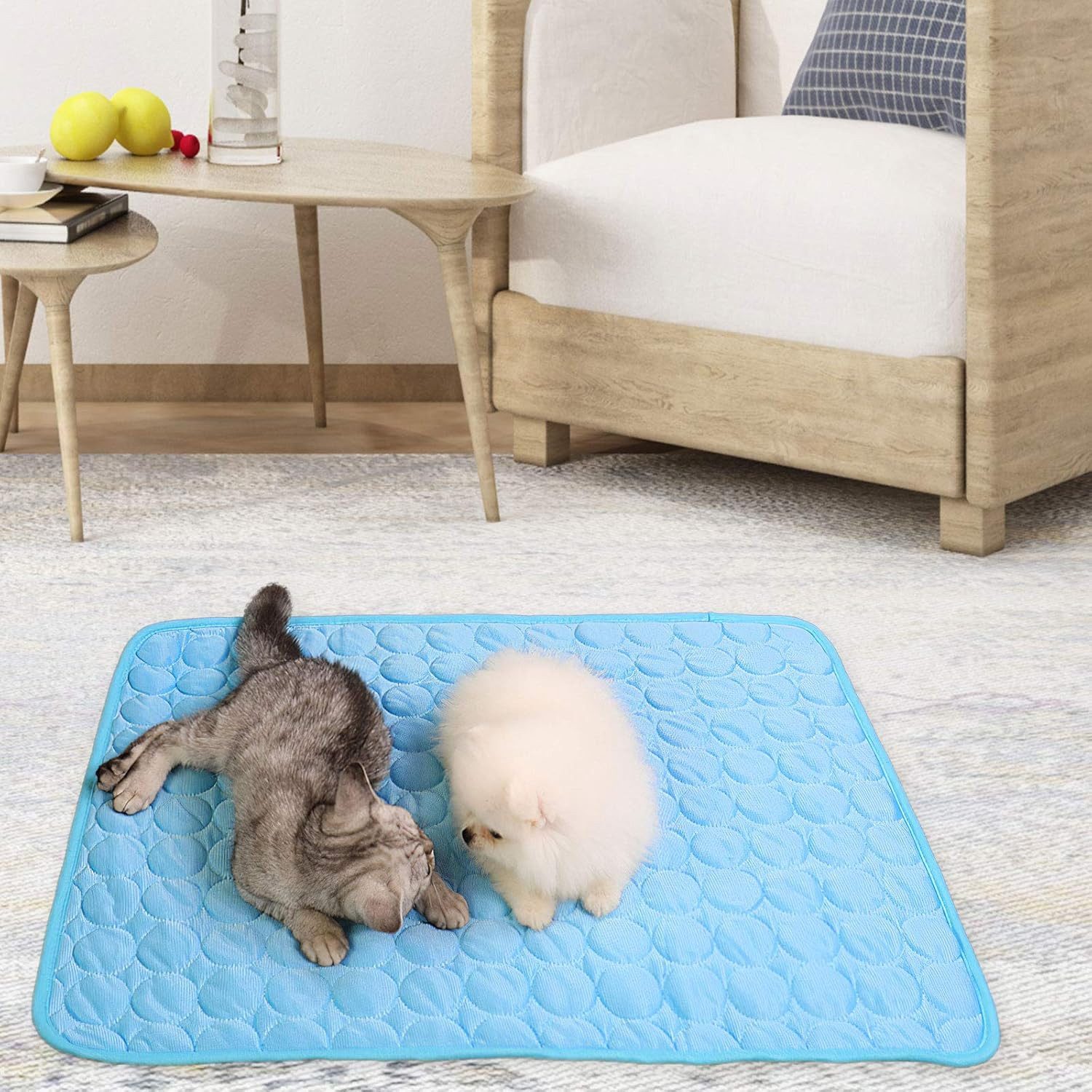 Ledander Hundematte Kühlmatte für Katzen und Hunde, für Drinnen, Draußen und Auto