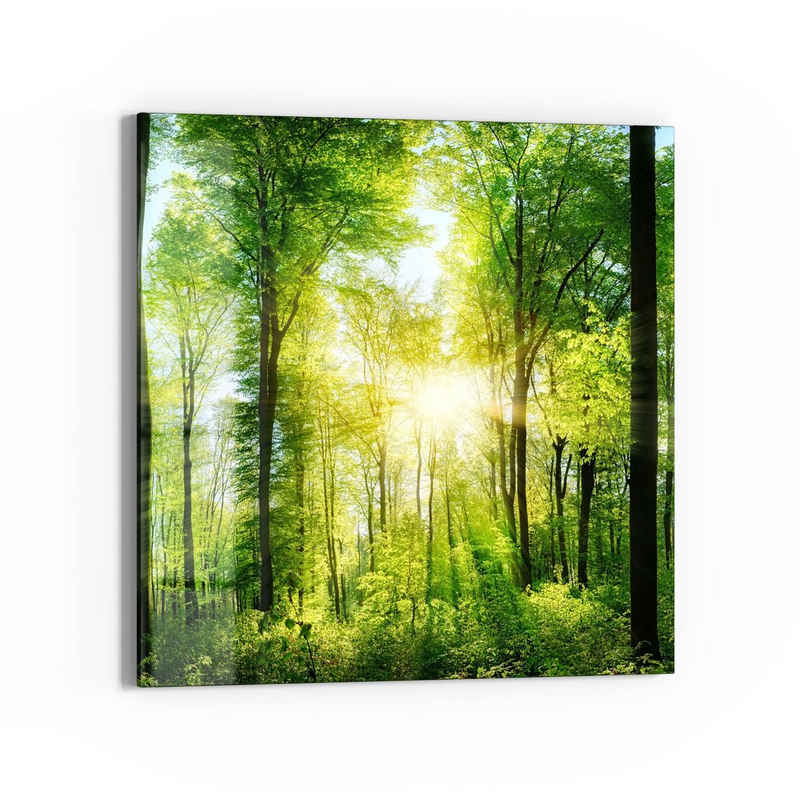 DEQORI Glasbild 'Sonne durchbricht Wald', 'Sonne durchbricht Wald', Glas Wandbild Bild schwebend modern