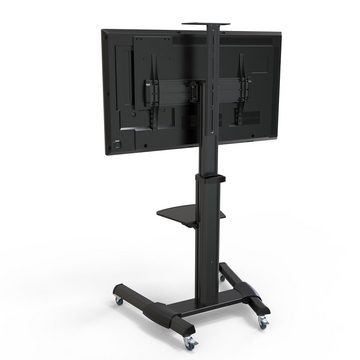 conecto conecto LM-FS02G Professional TV-Ständer Standfuß für Flachbildschirm TV-Ständer