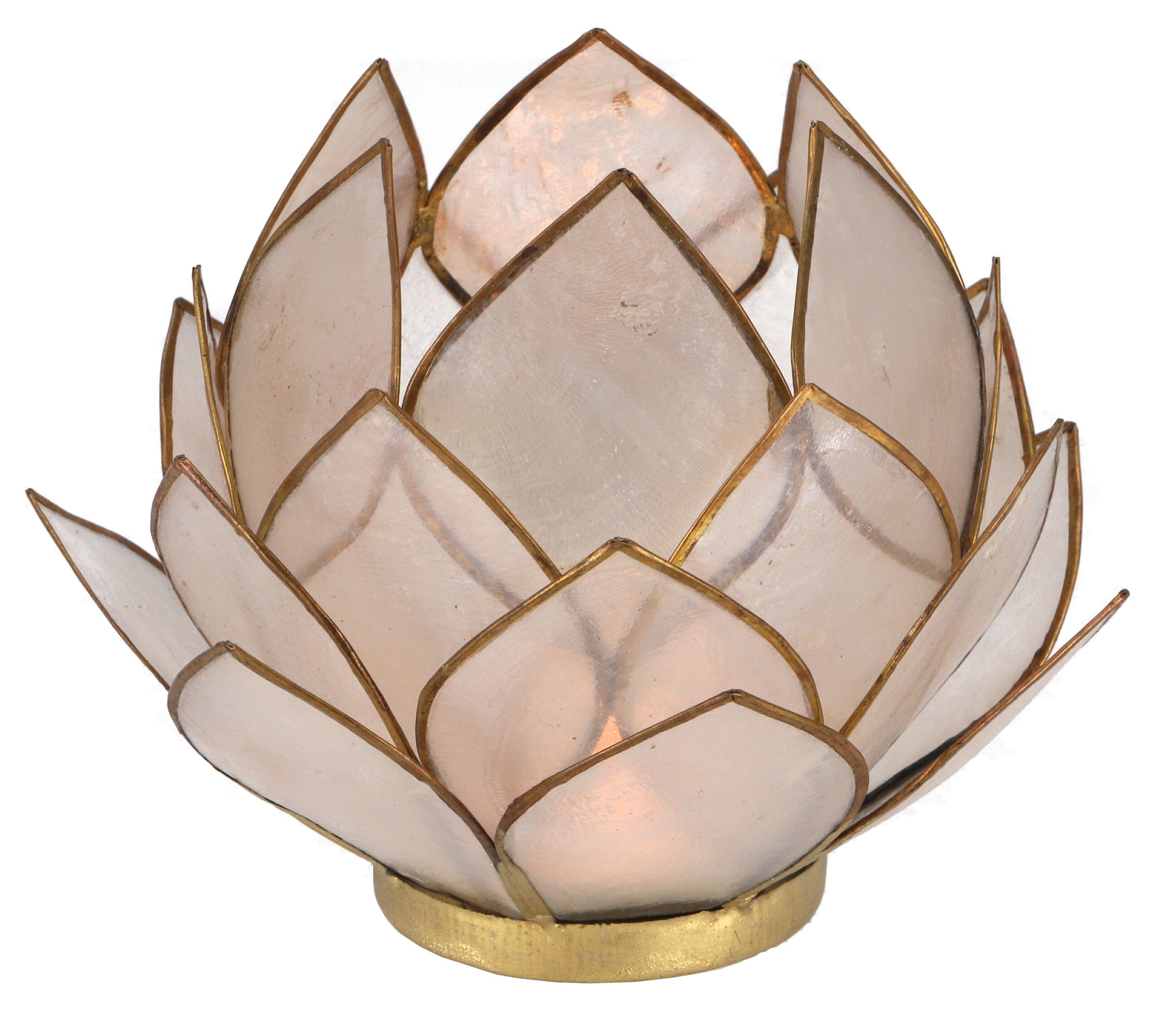 Windlicht Lotus Teelicht Muschel 14*10 cm - weiß