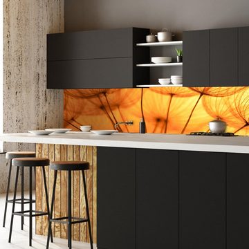 wandmotiv24 Küchenrückwand Pusteblume Orange, (1-tlg), Premium Hartschaum Nischenrückwand in versch. Größen