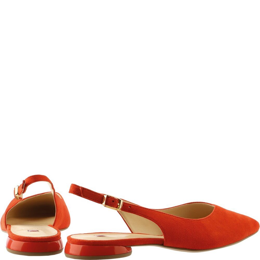 Högl Högl - MONA - Rot Pumps