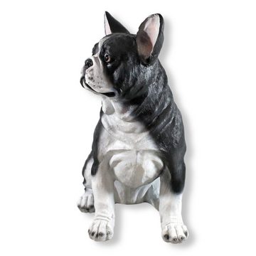 colourliving Tierfigur Französische Bulldogge Figur sitzend Hundefiguren lebensecht Dekofigur, aufwendig verarbeitet, detailgetreu, handbemalt