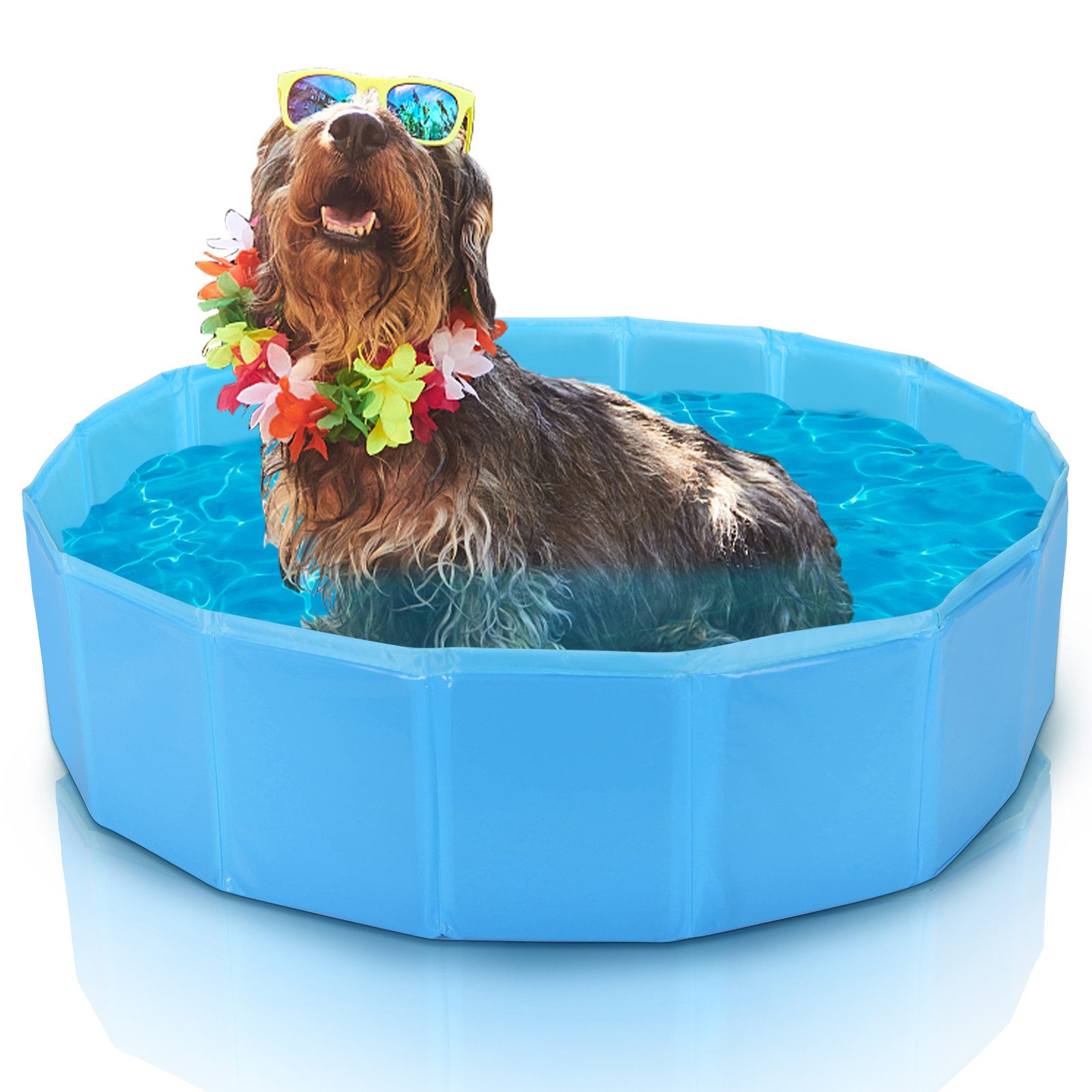 nobleza Hundematte Faltbarer Pool Faltbarer Hundepool günstig online kaufen