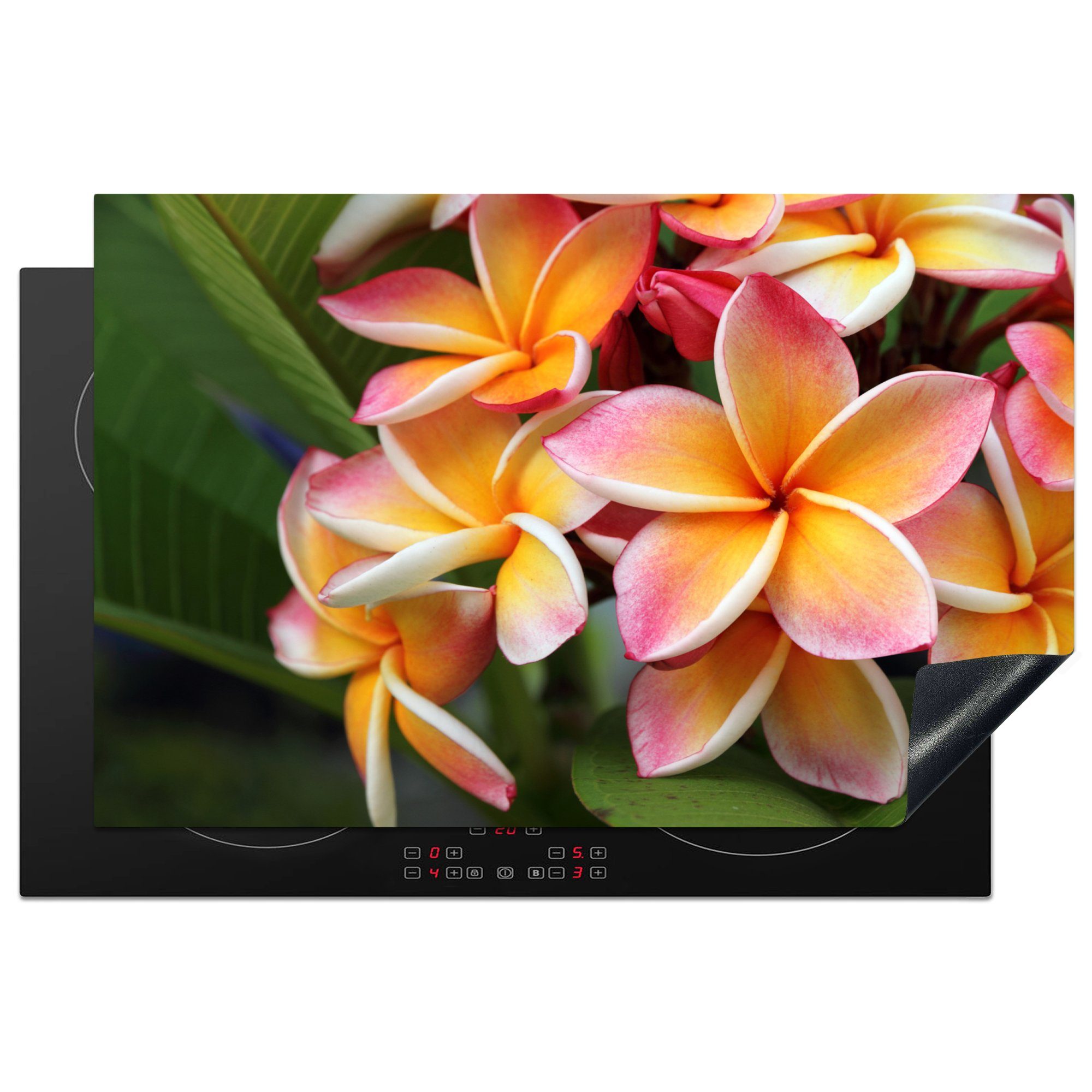 MuchoWow Herdblende-/Abdeckplatte Blumen - Plumeria - Orange, Vinyl, (1 tlg), 81x52 cm, Induktionskochfeld Schutz für die küche, Ceranfeldabdeckung