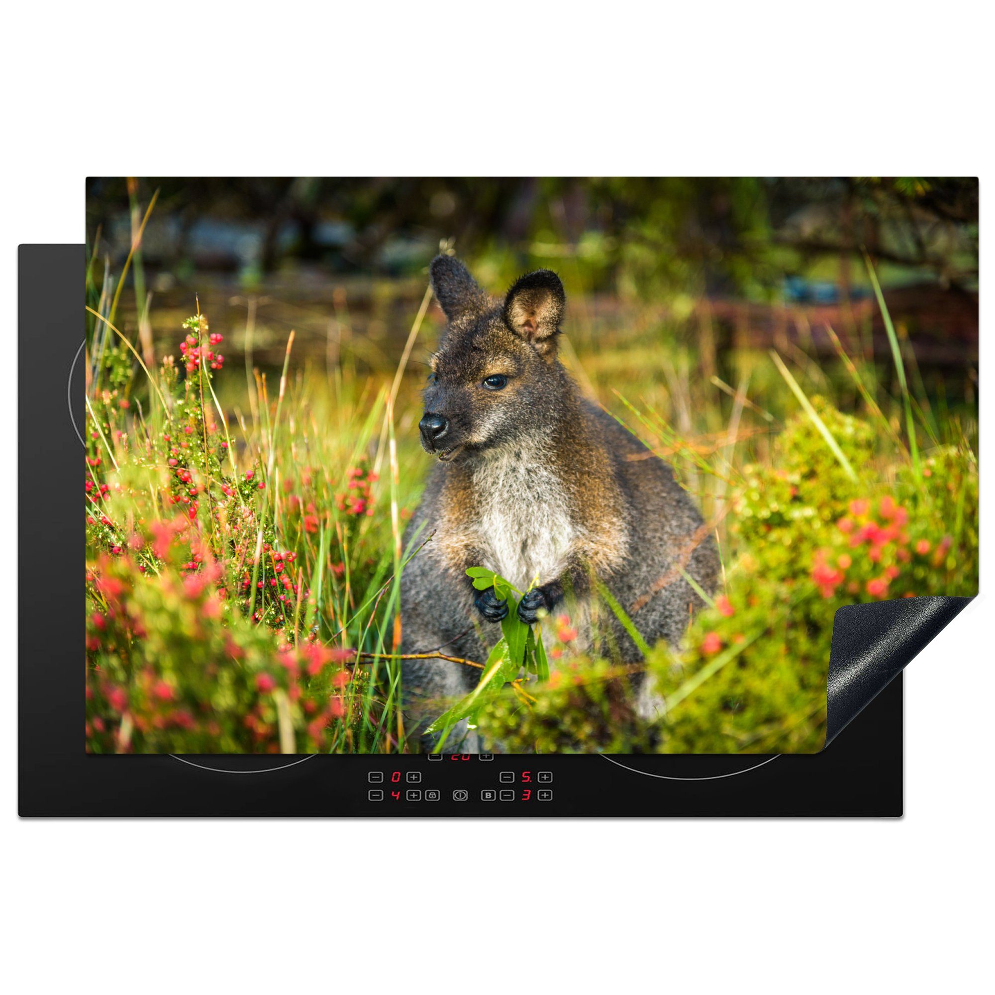 MuchoWow Herdblende-/Abdeckplatte Wallaby in der Natur, Vinyl, (1 tlg), 81x52 cm, Induktionskochfeld Schutz für die küche, Ceranfeldabdeckung