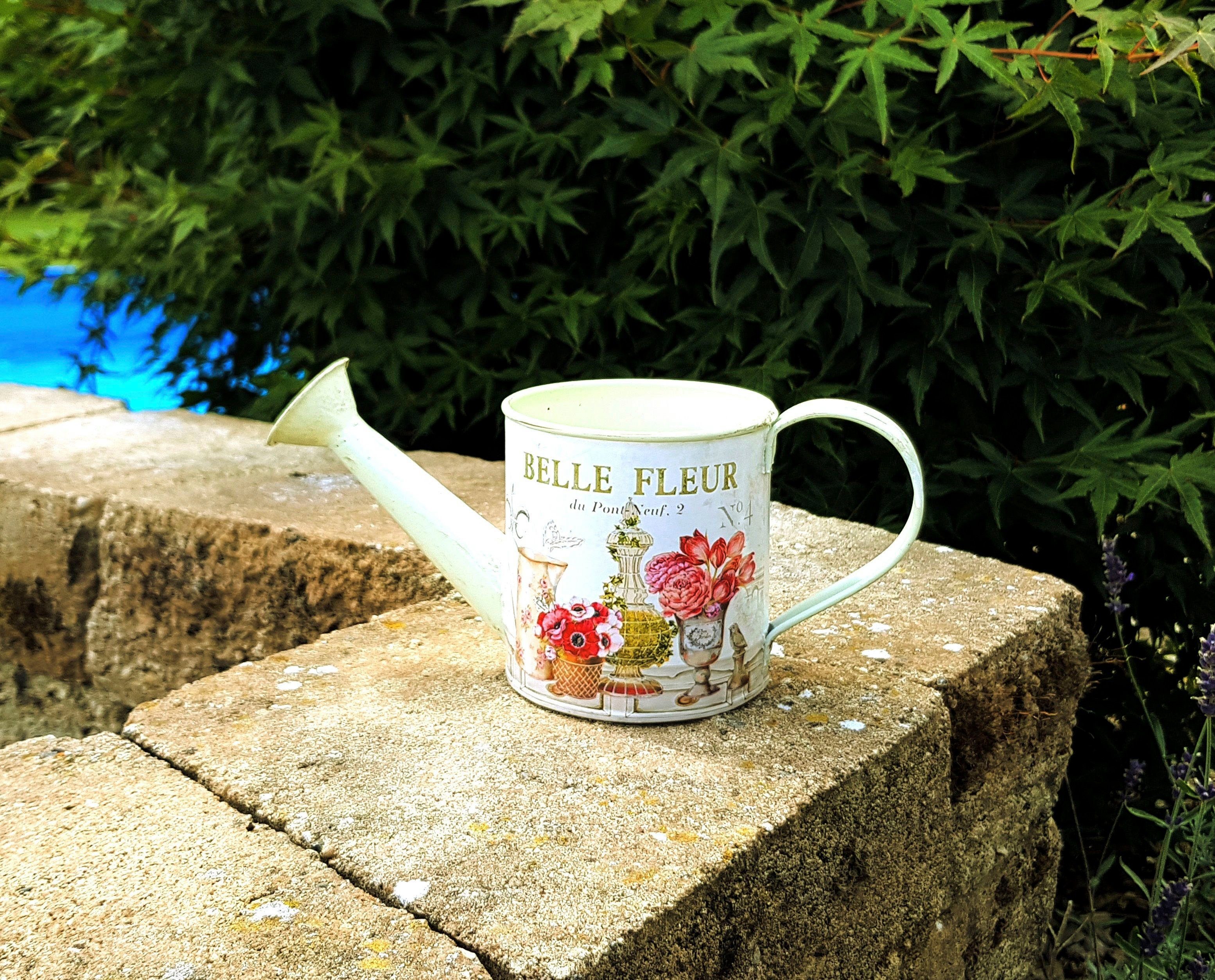 Ambiente Haus Gießkanne Fleur - Gießkanne klein (1-tlg) – Bild 4 von 5