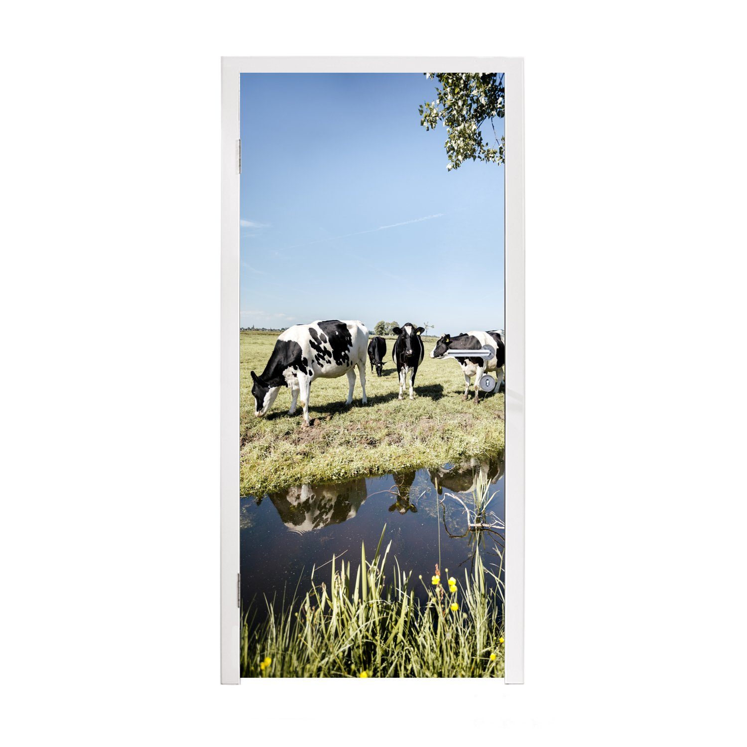 MuchoWow Türtapete Kühe - Wasser - Spiegelung, Matt, bedruckt, (1 St), Fototapete für Tür, Türaufkleber, 75x205 cm