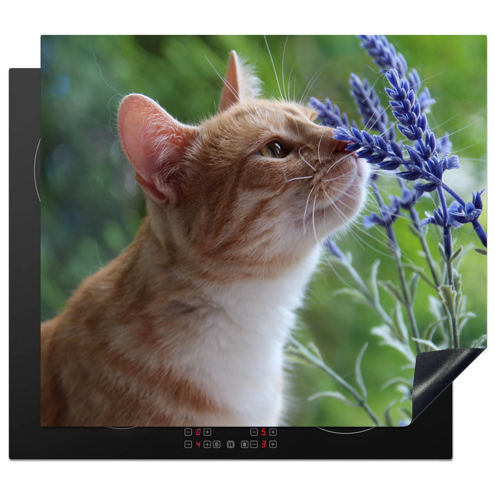 cm, Katze Herdblende-/Abdeckplatte tlg), Lila, 60x52 Arbeitsfläche Vinyl, (1 - Ceranfeldabdeckung MuchoWow nutzbar, - Mobile Blumen