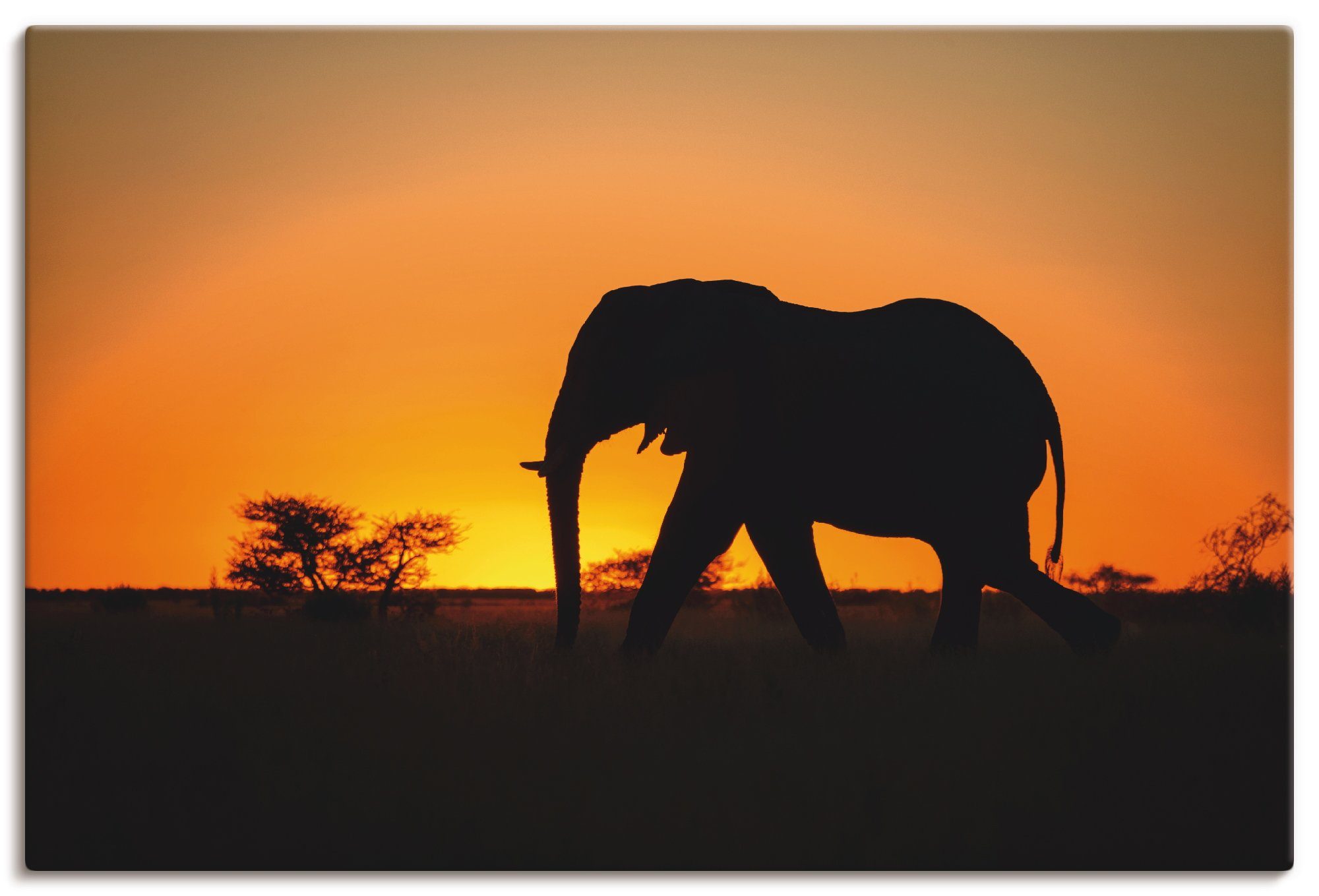 Artland Wandbild Afrikanischer Elefant im Sonnenuntergang, Wildtiere (1 St), als Alubild, Leinwandbild, Wandaufkleber oder Poster in versch. Größen | Poster