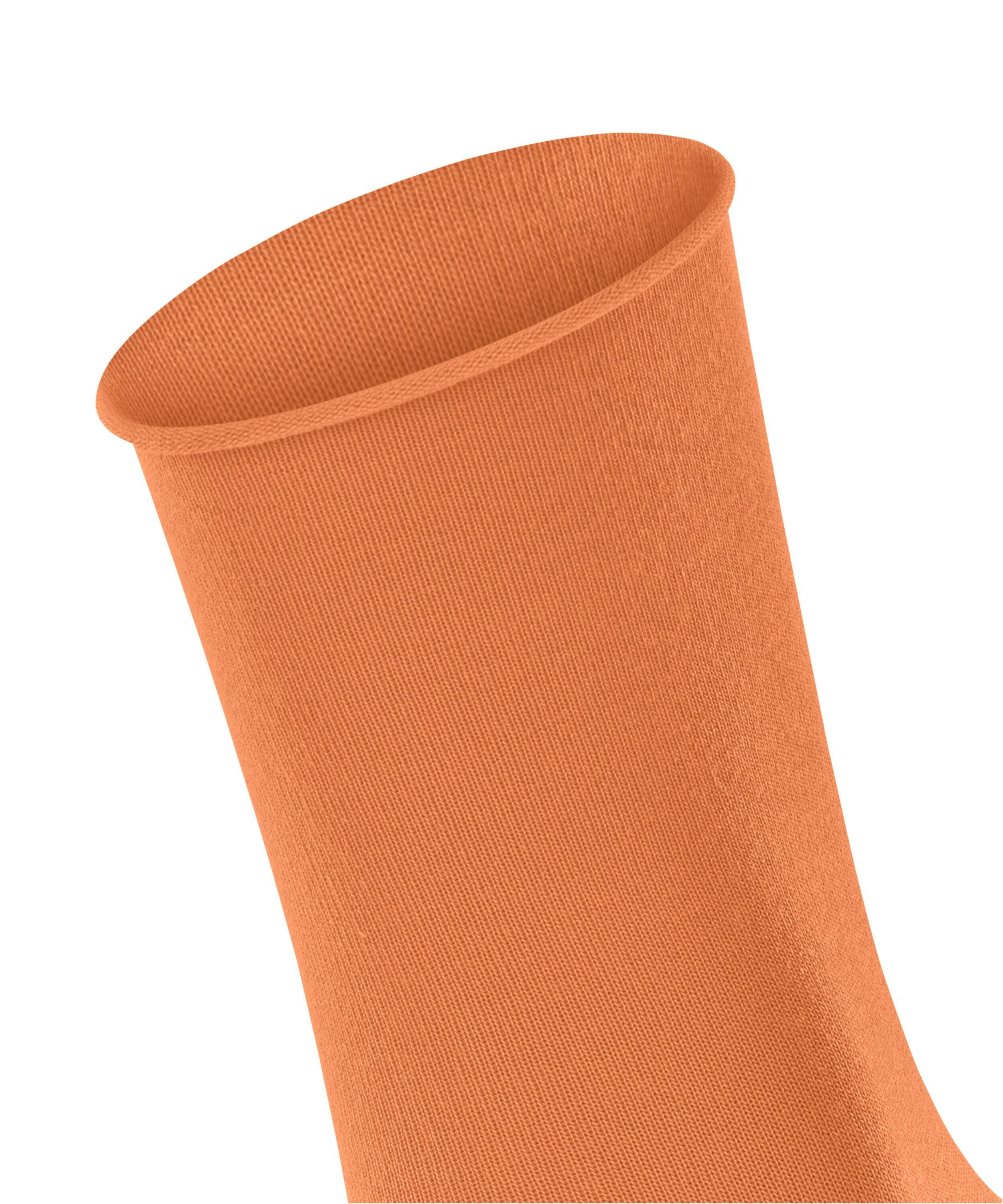 Breeze Active FALKE (8576) tandoori (1-Paar) Socken