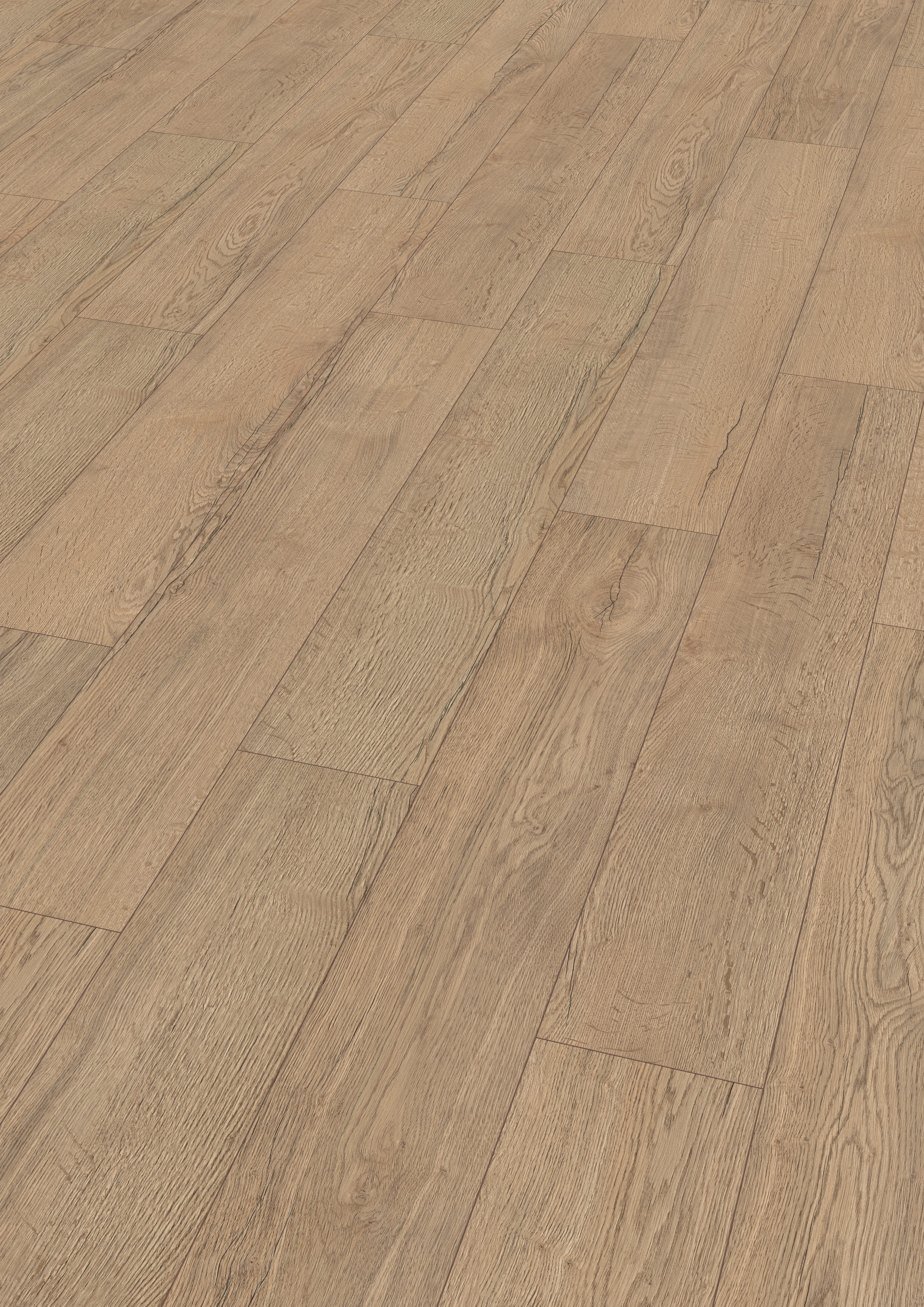 EGGER Laminat Promo NL2082 Elva Eiche natur, (8mm, 1,995m), Praktisch & Pfl günstig online kaufen