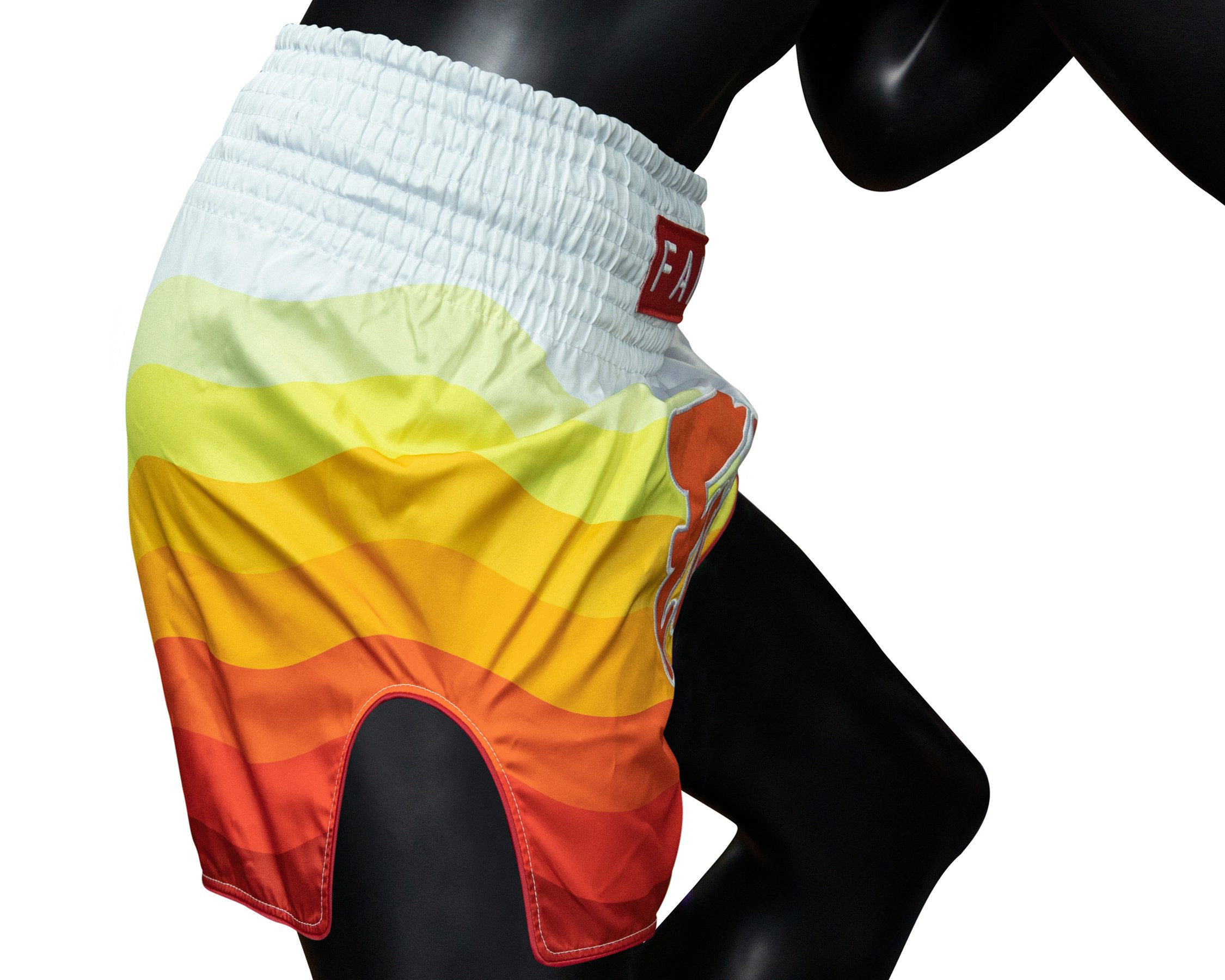 Fairtex Trainingsshorts Fairtex BS1932 Muay Thai Shorts Spectrum