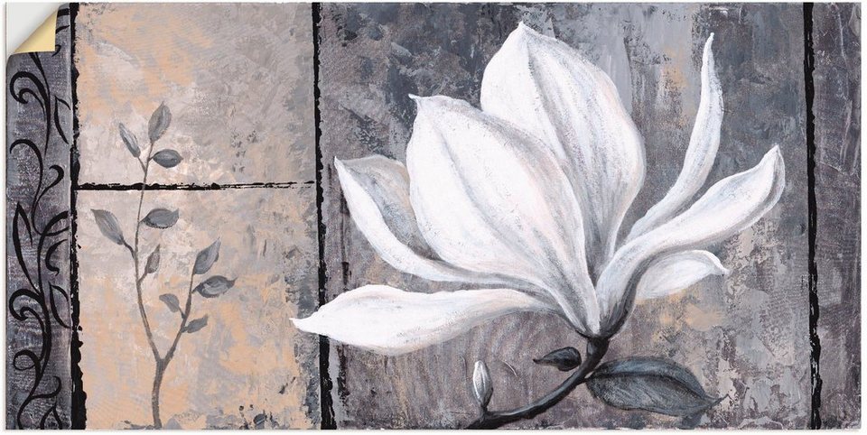 Artland Wandbild Klassische Magnolie, Blumen (1 St), als Alubild,  Leinwandbild, Wandaufkleber oder Poster in versch. Größen