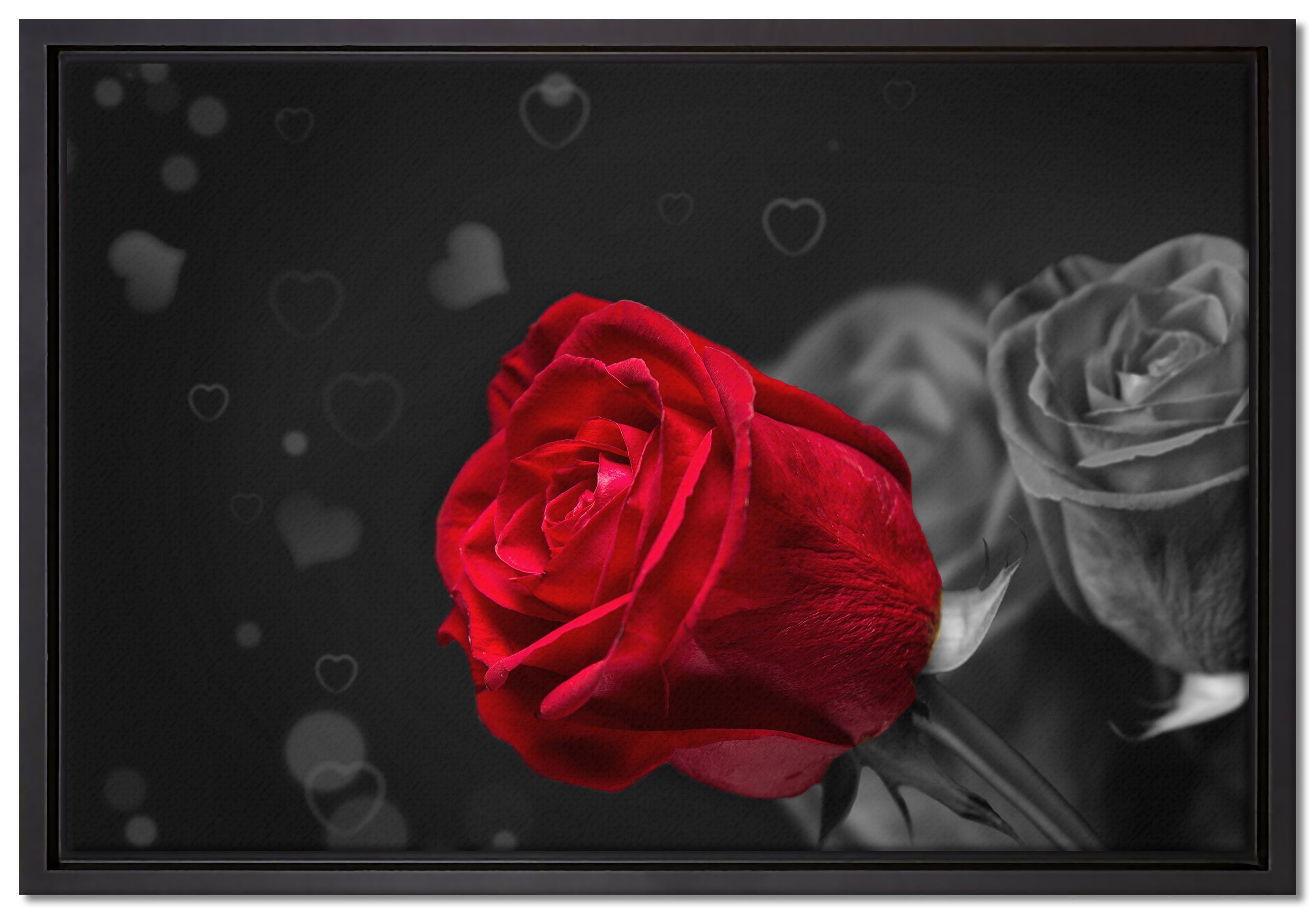 Pixxprint Leinwandbild rote Rosen zum Valentinstag, Wanddekoration (1 St), Leinwandbild fertig bespannt, in einem Schattenfugen-Bilderrahmen gefasst, inkl. Zackenaufhänger | Leinwandbilder