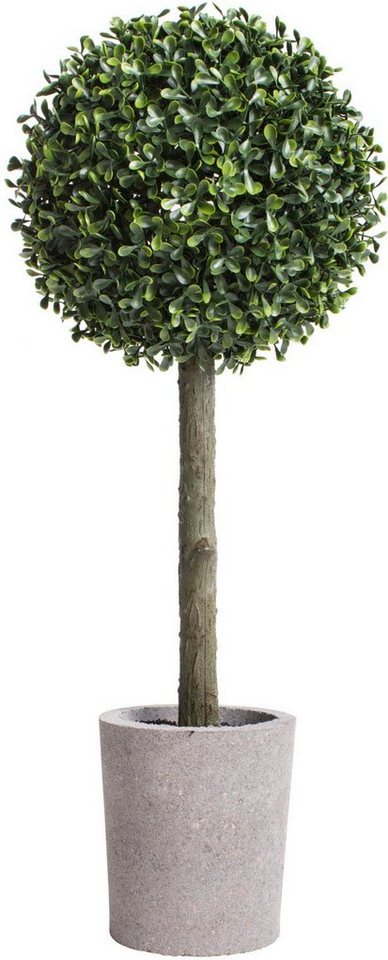 Kunstbaum Buchskugelbaum Tanne, Botanic-Haus, Höhe 60 cm