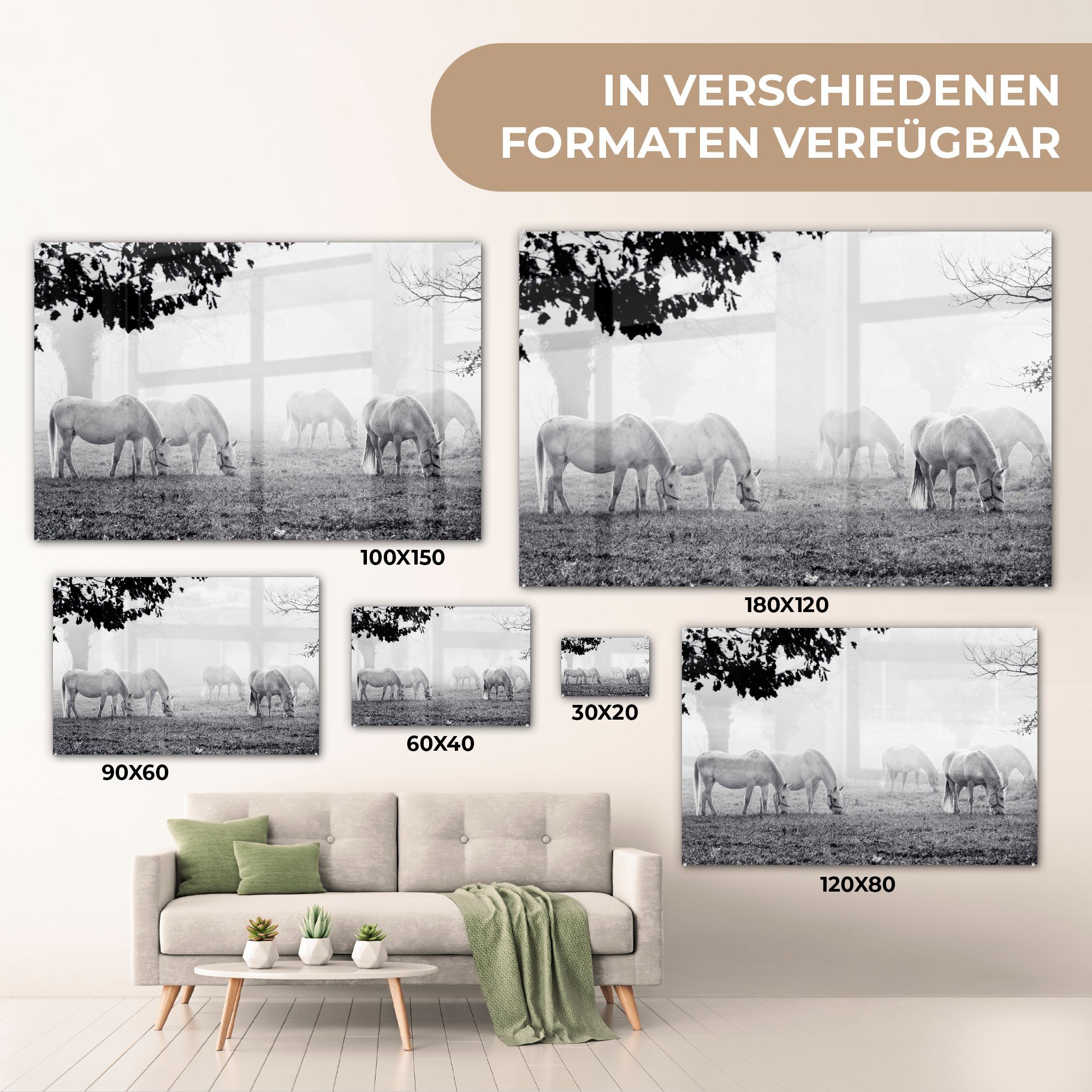 - Lipizzaner Schwarz (1 & - St), - Schlafzimmer Acrylglasbild Weiß, Wohnzimmer MuchoWow Pferde Acrylglasbilder