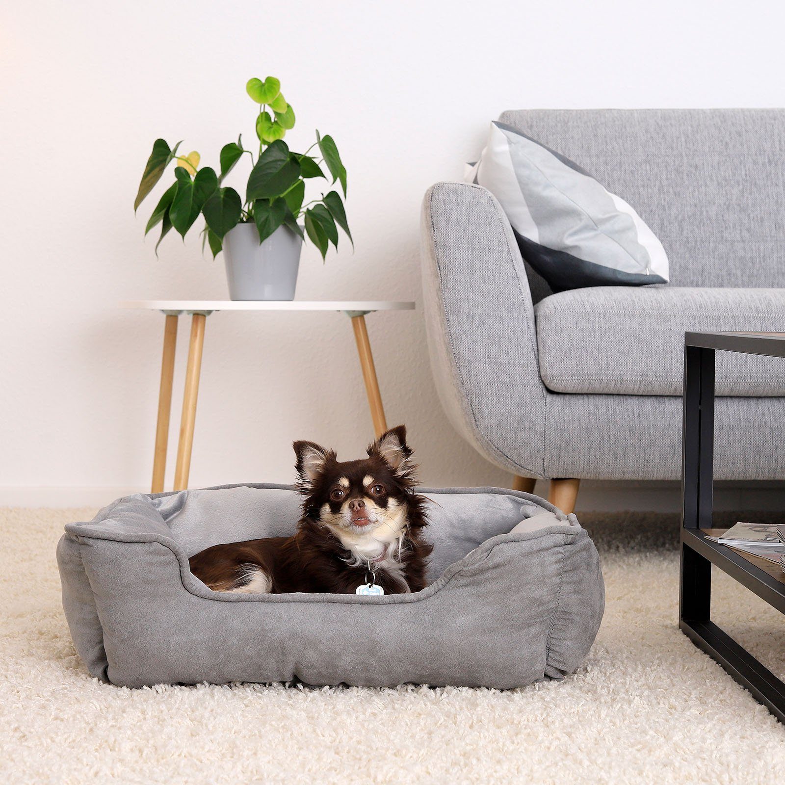 lionto Tierkissen 2-in-1 Hundebett in Wildlederoptik, günstig online kaufen
