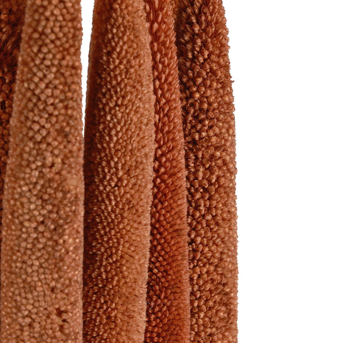 Trockenblume Dekorative Kolbenhirse für Trockenfloristik und Gedenkgestecke, 10 St, DIJK, Höhe 3 cm