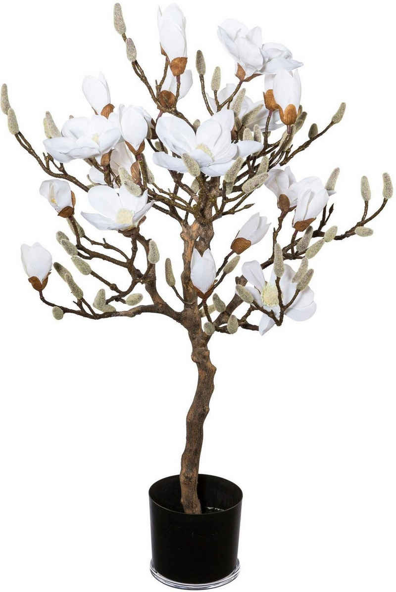 Kunstpflanze »Magnolienbaum«, Creativ green, Höhe 94 cm