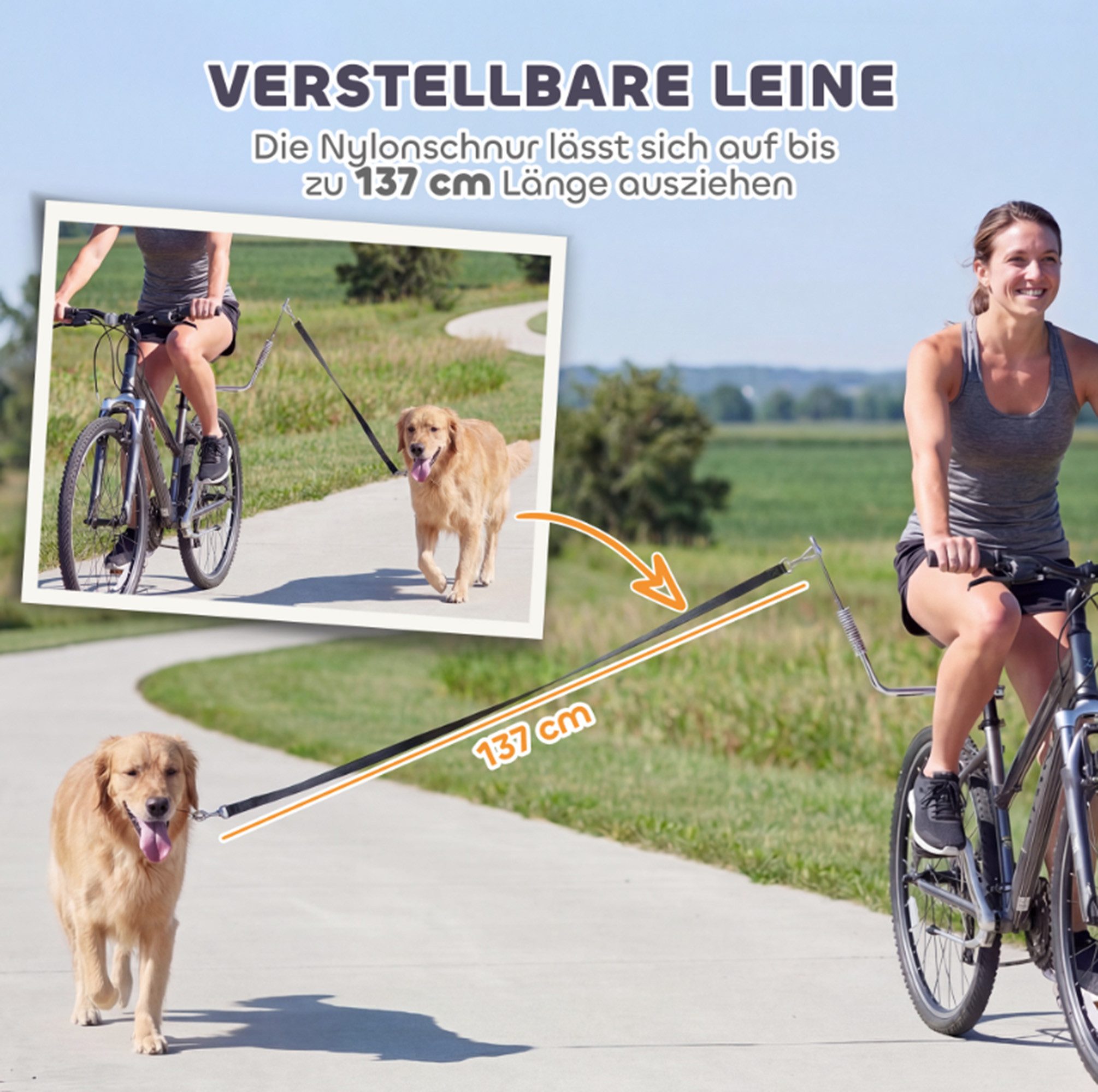 ibettertec Jagdleine Fahrradleine, Hundeleine, Stoßdämpfern, (Spar-Set, 1-tlg., Zweifunktionale Fahrradleine für Hunde mit abnehmbarem Stoßdämpfer), doppelfunktional (Fahrrad- & Handleine), stoßdämpfend