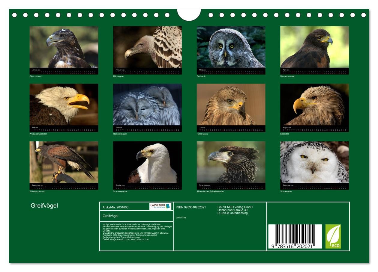 Thumbnail - CALVENDO Wandkalender Greifvögel (Wandkalender 2026 DIN A4 quer), CALVENDO Monatskalender