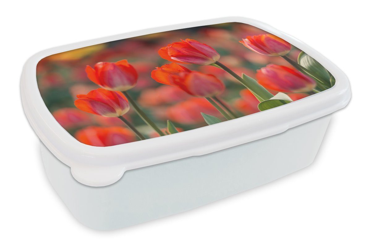 MuchoWow Lunchbox Eine Nahaufnahme von roten Tulpen, Kunststoff, (2-tlg), Brotbox für Kinder und Erwachsene, Brotdose, für Jungs und Mädchen weiß
