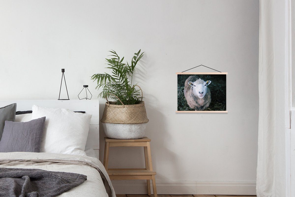Bilderleiste, Poster St), - für - Wohnzimmer, Magnetisch MuchoWow Posterleiste, (1 Schafe Rinder, Textilposter Tiere