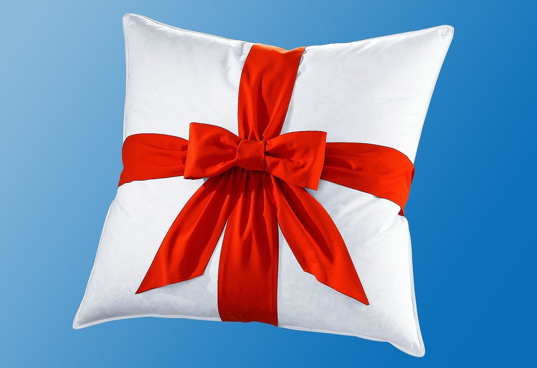 RIBECO Daunenbettdecke Emily, Füllung: 80% Daunen und 20% Federn, Bezug: 100% Baumwolle, Extra hoher Außensteg für viel Volumen